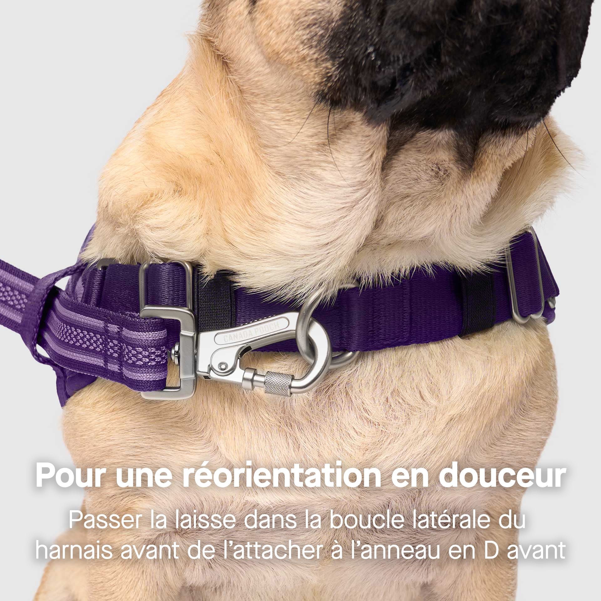 Re-Direct Harness - Image 16