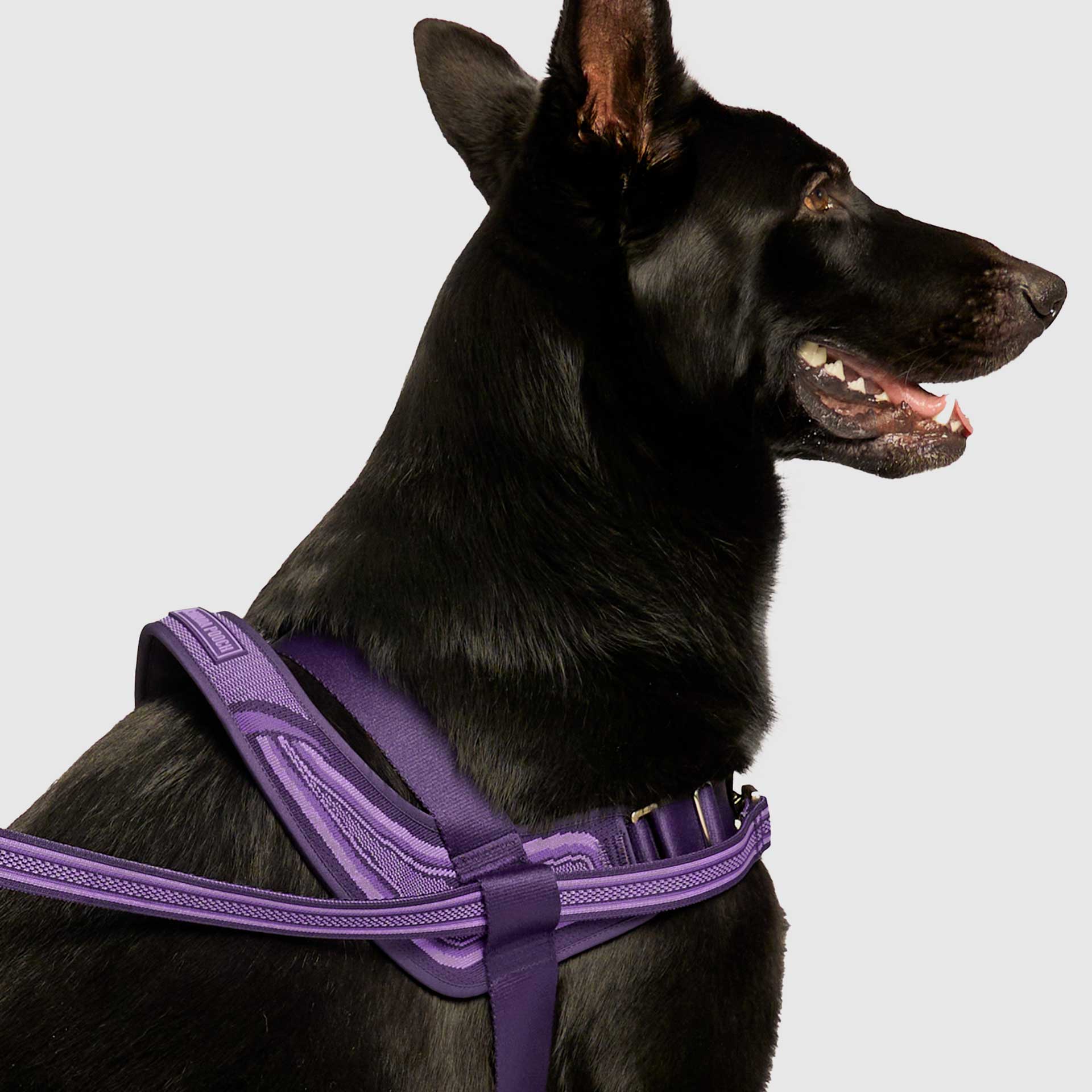 Re-Direct Harness - Image 17