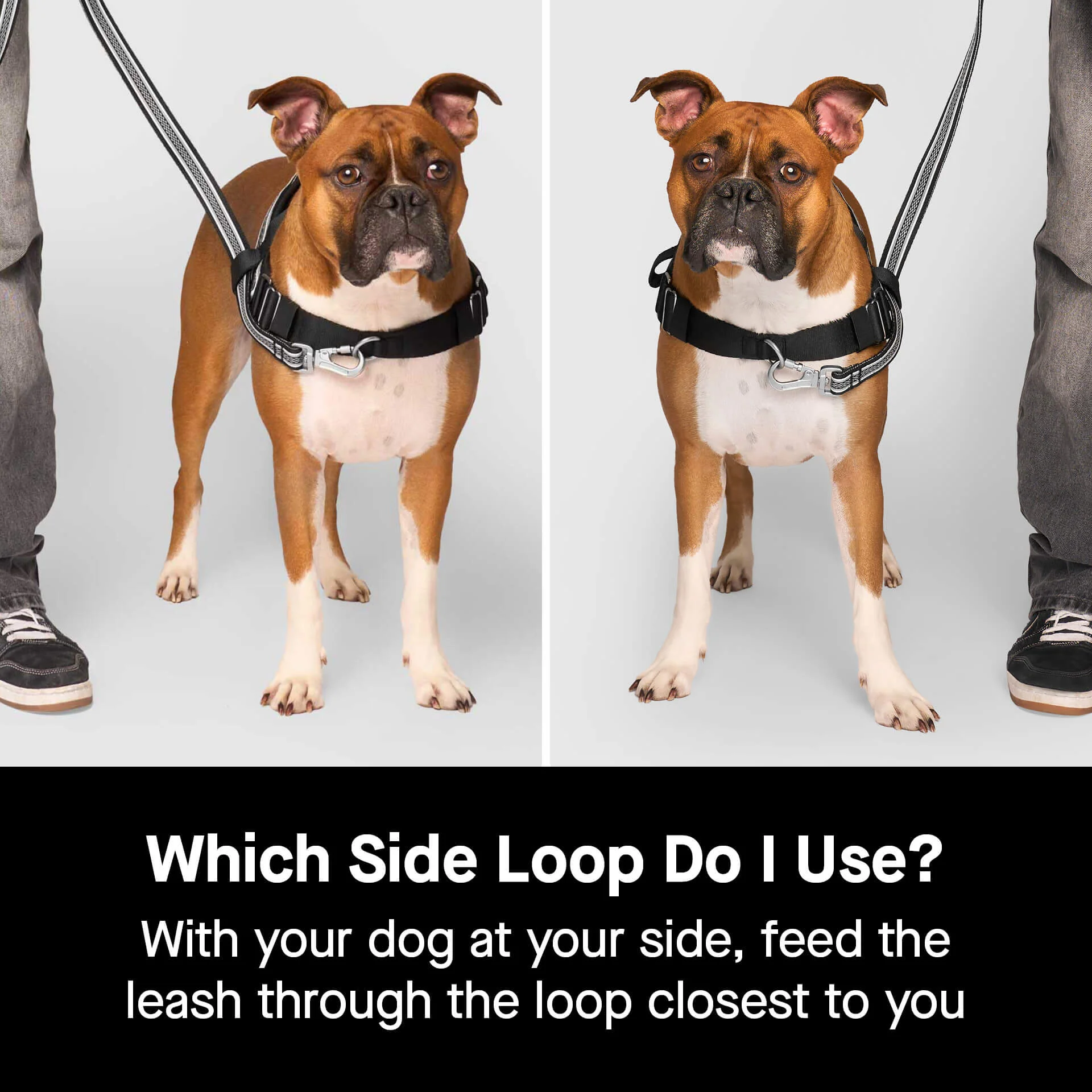 Re-Direct Harness - Image 19