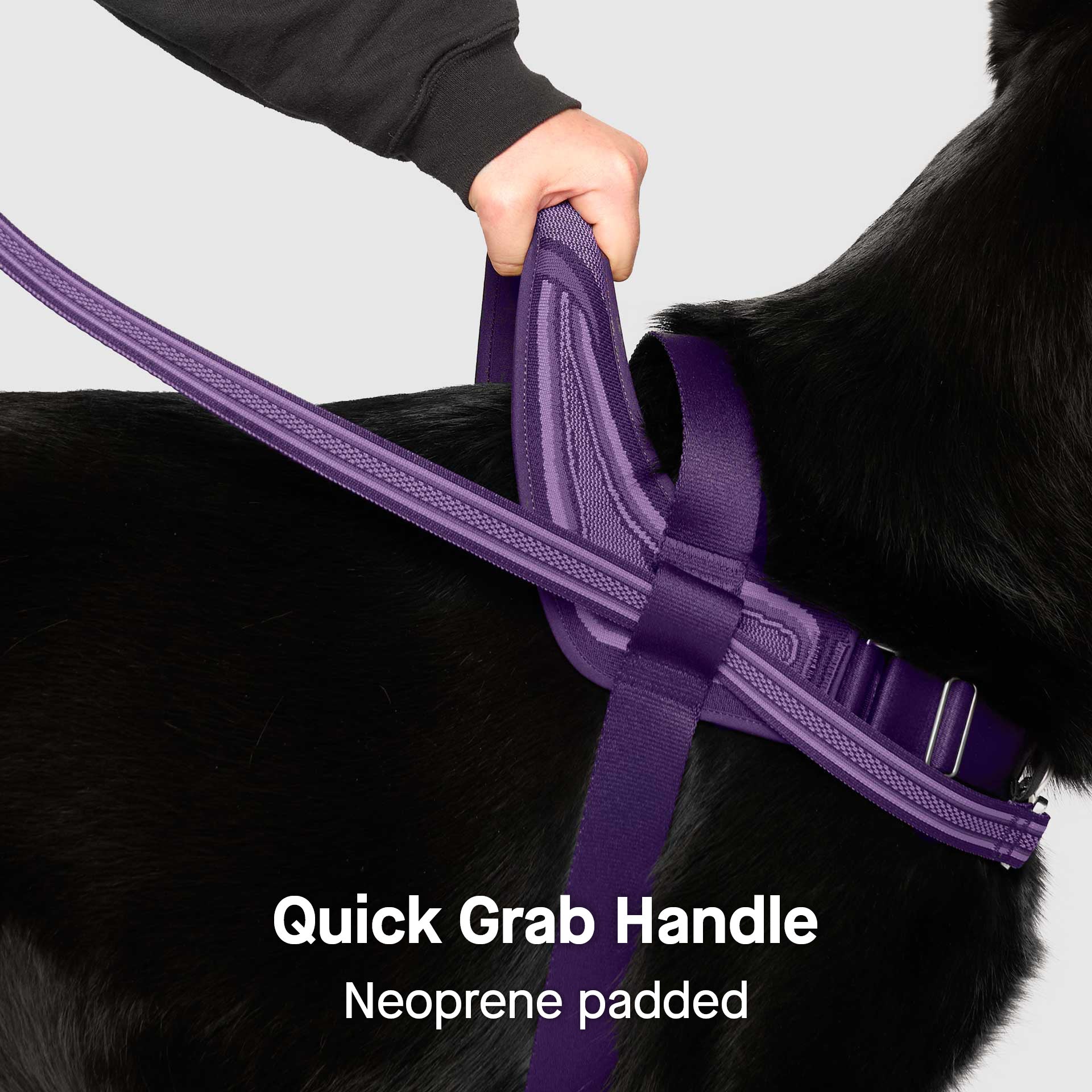 Re-Direct Harness - Image 23