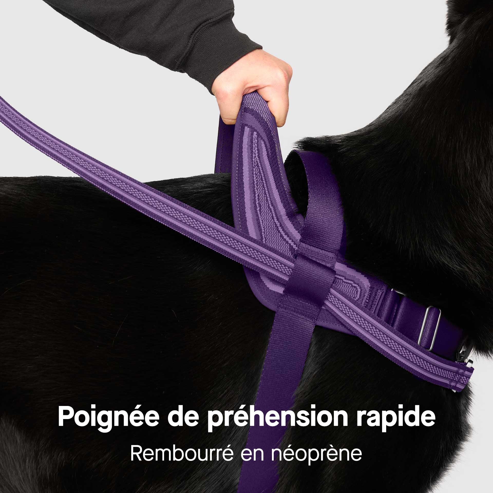 Re-Direct Harness - Image 24