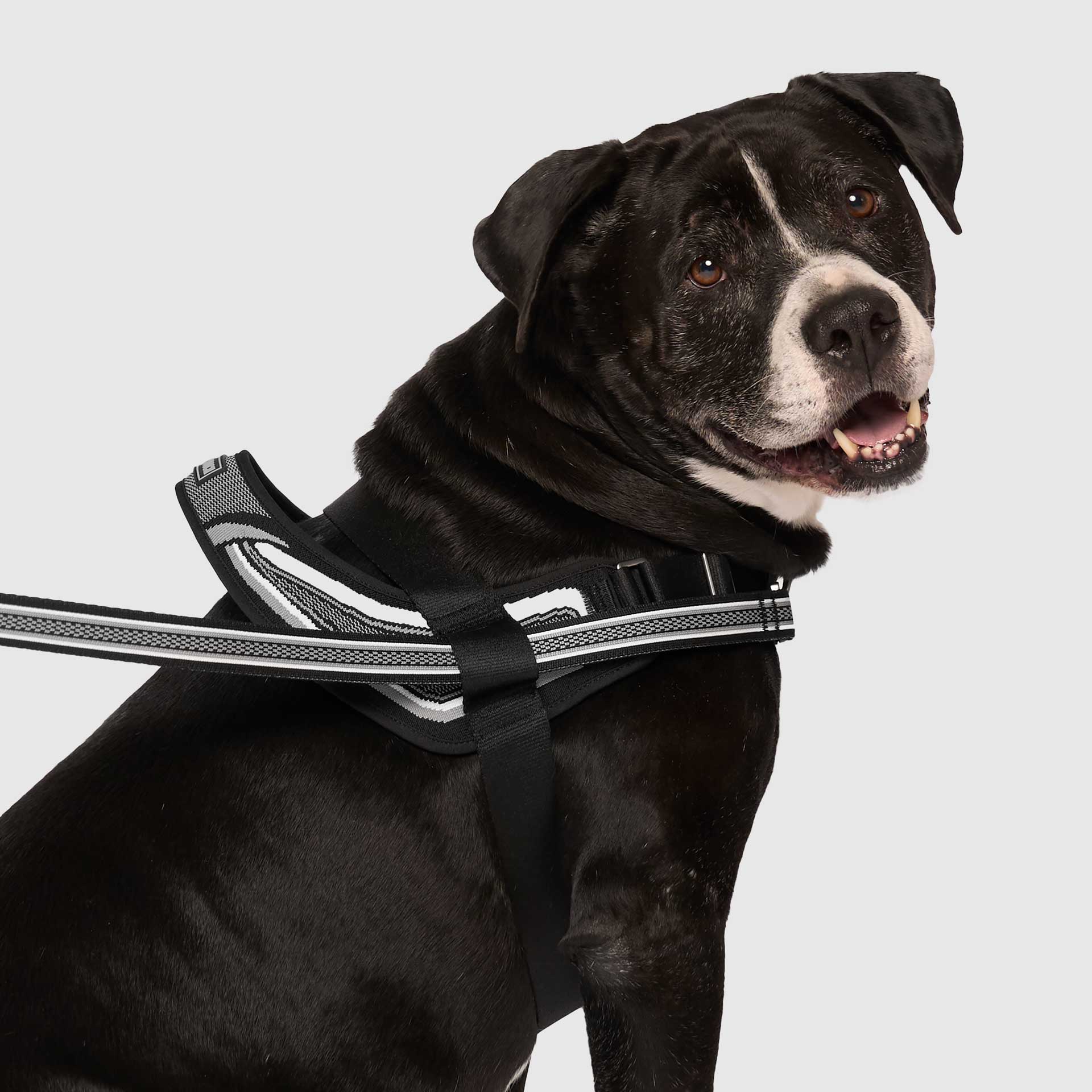 Re-Direct Harness - Image 4