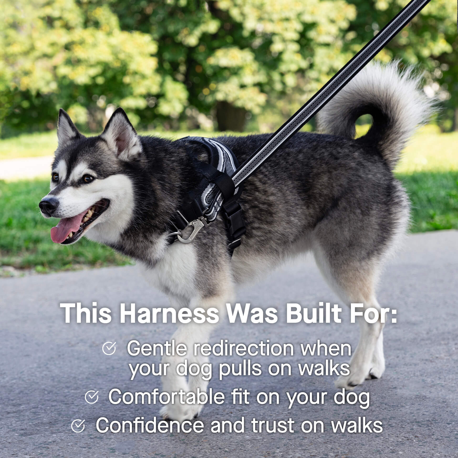 Re-Direct Harness - Image 8