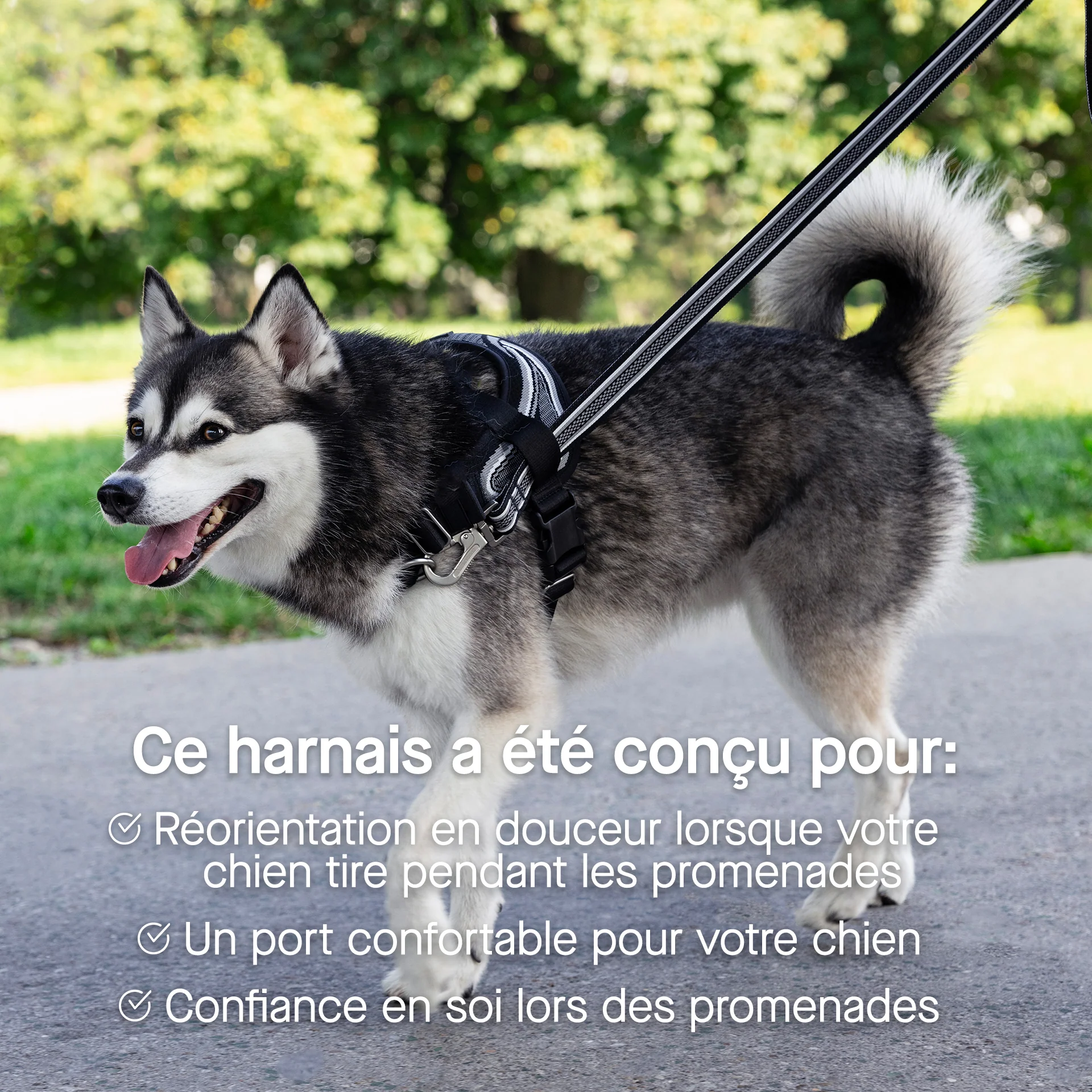 Re-Direct Harness - Image 9