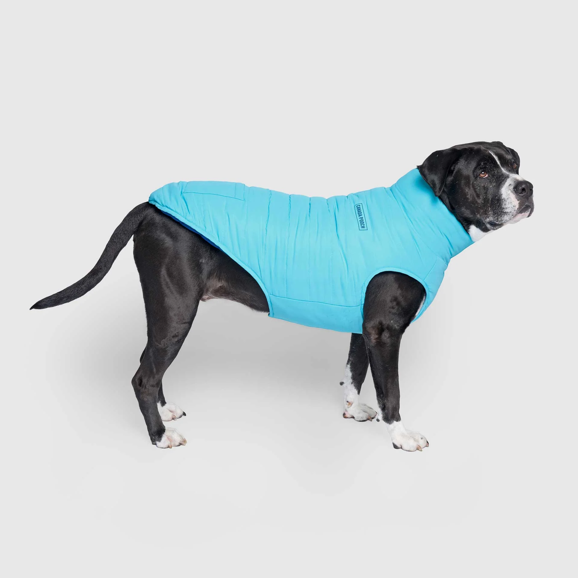 Reversible Puffer Vest - Image 6