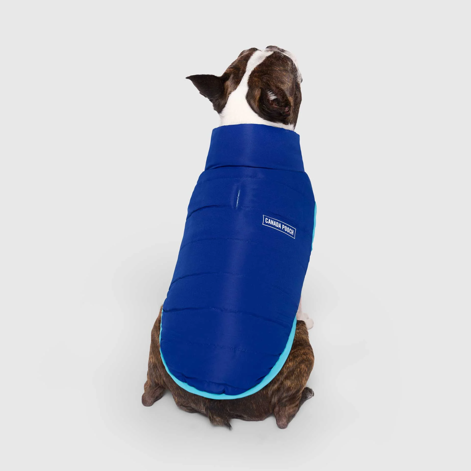 Reversible Puffer Vest - Image 7