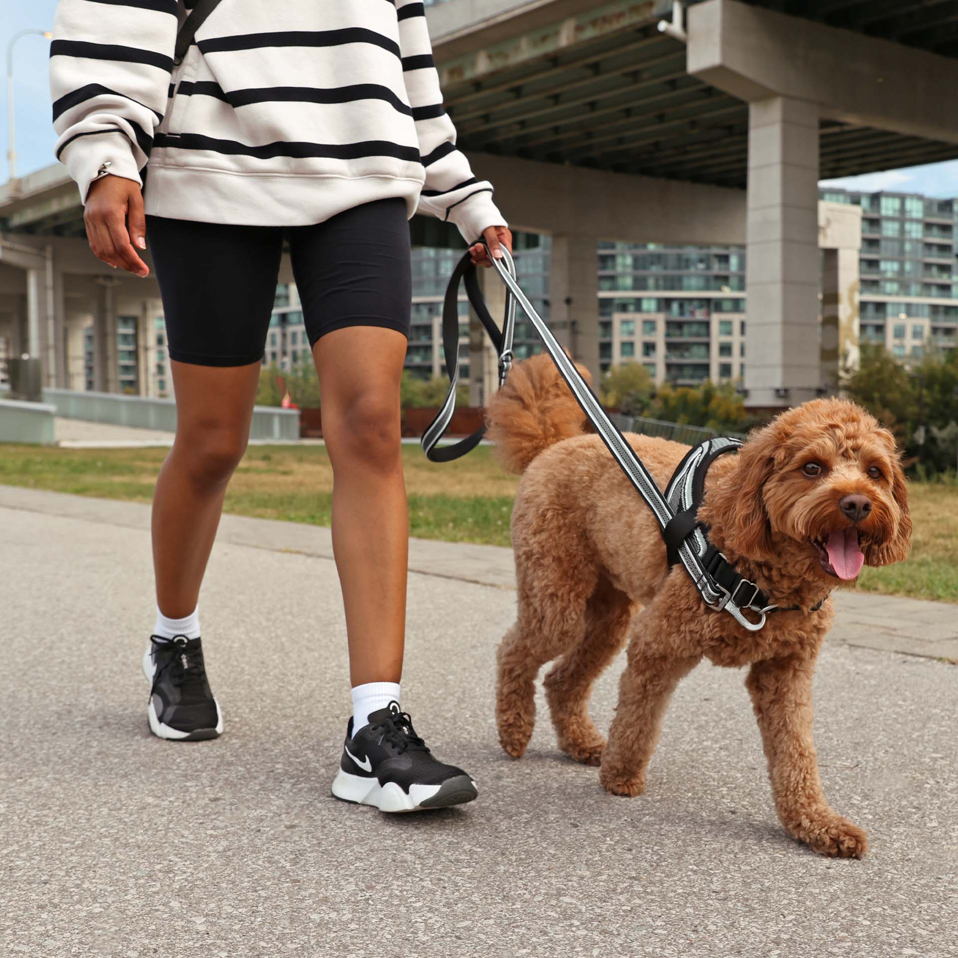 Jacquard Leash - Image 5