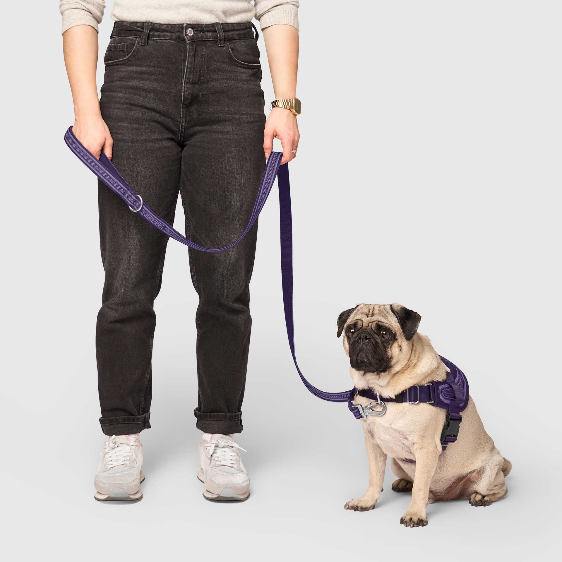 Jacquard Leash - Image 6