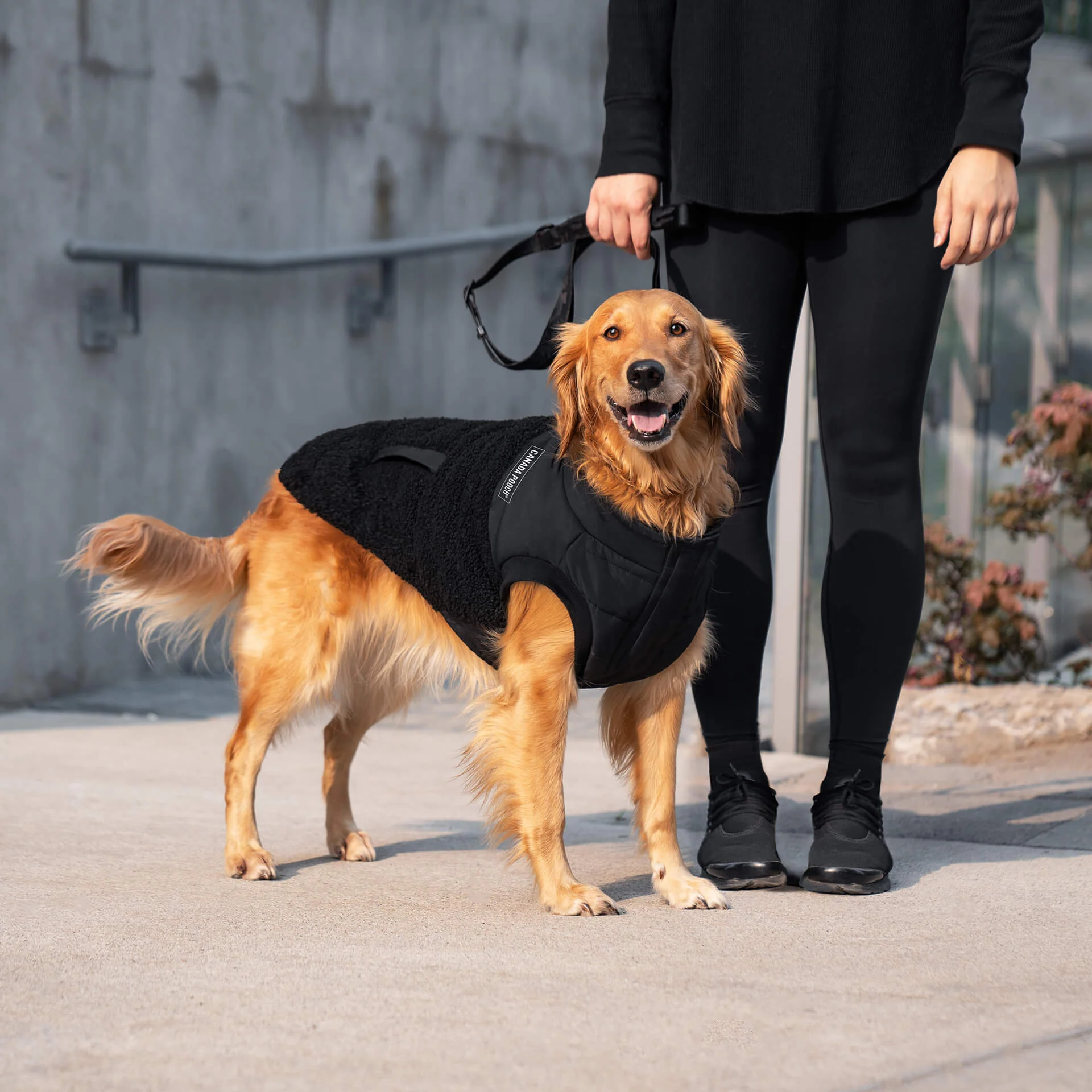 Cool Factor Puffer Jacket - Image 5