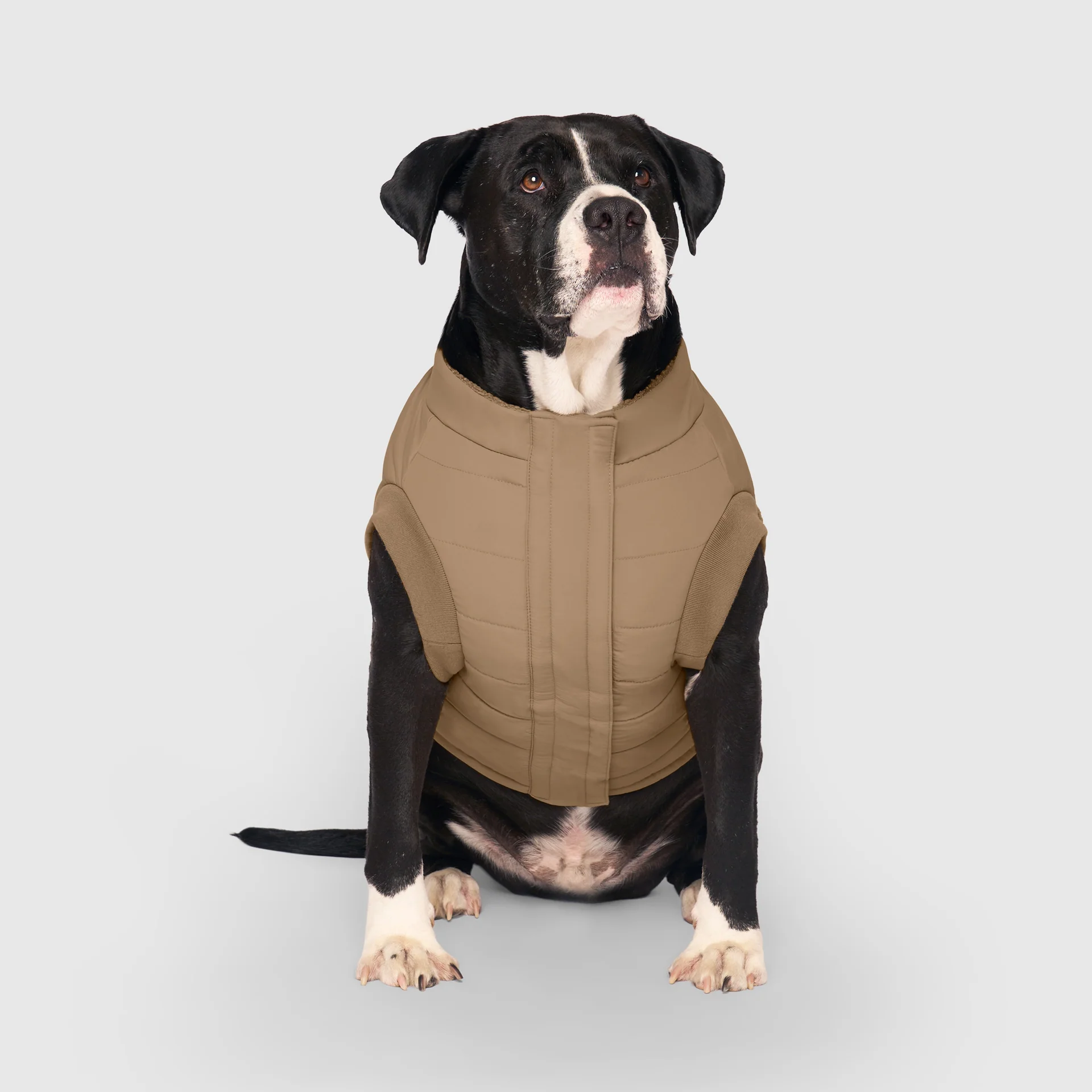 Cool Factor Puffer Jacket - Image 7