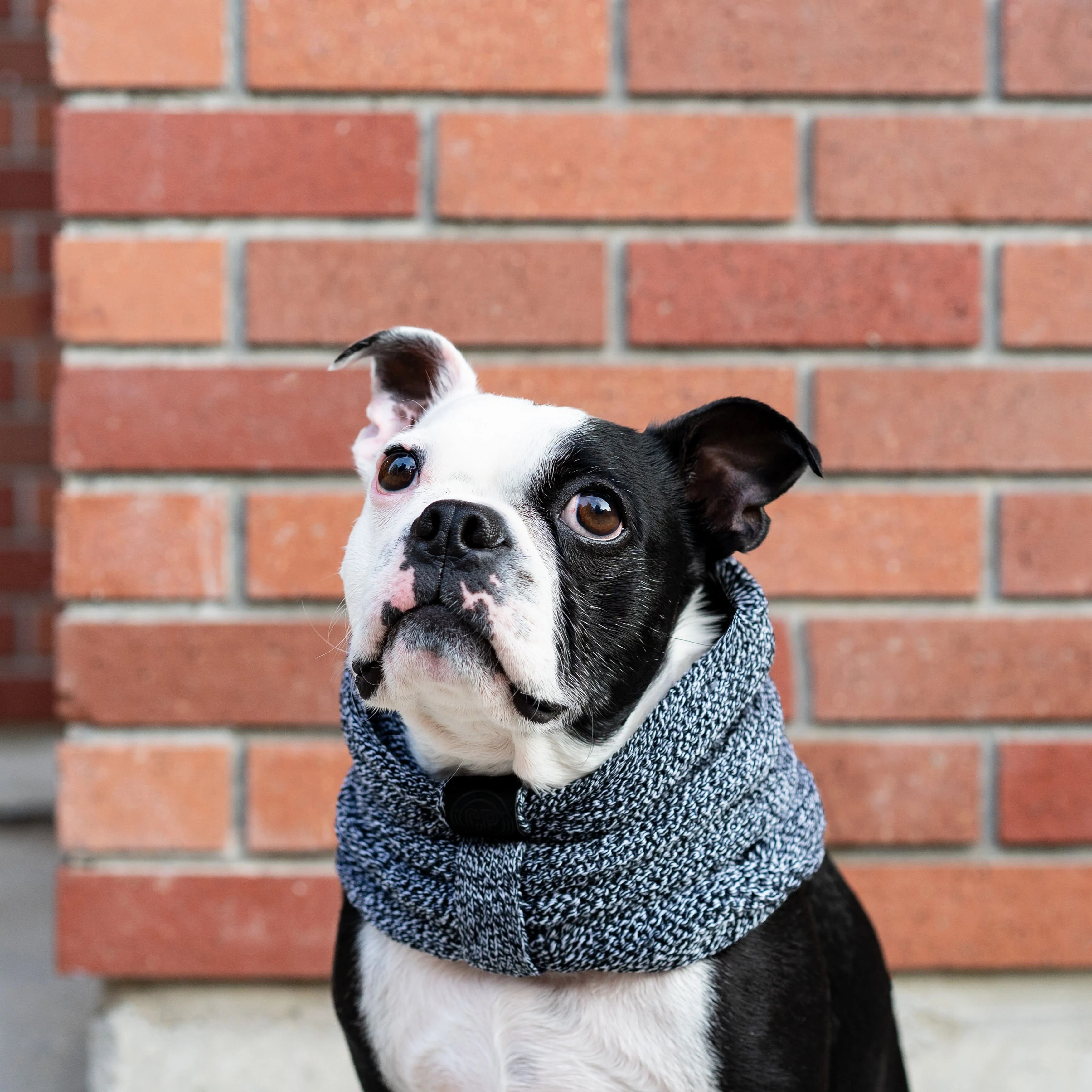 Sierra Scarf - Image 10