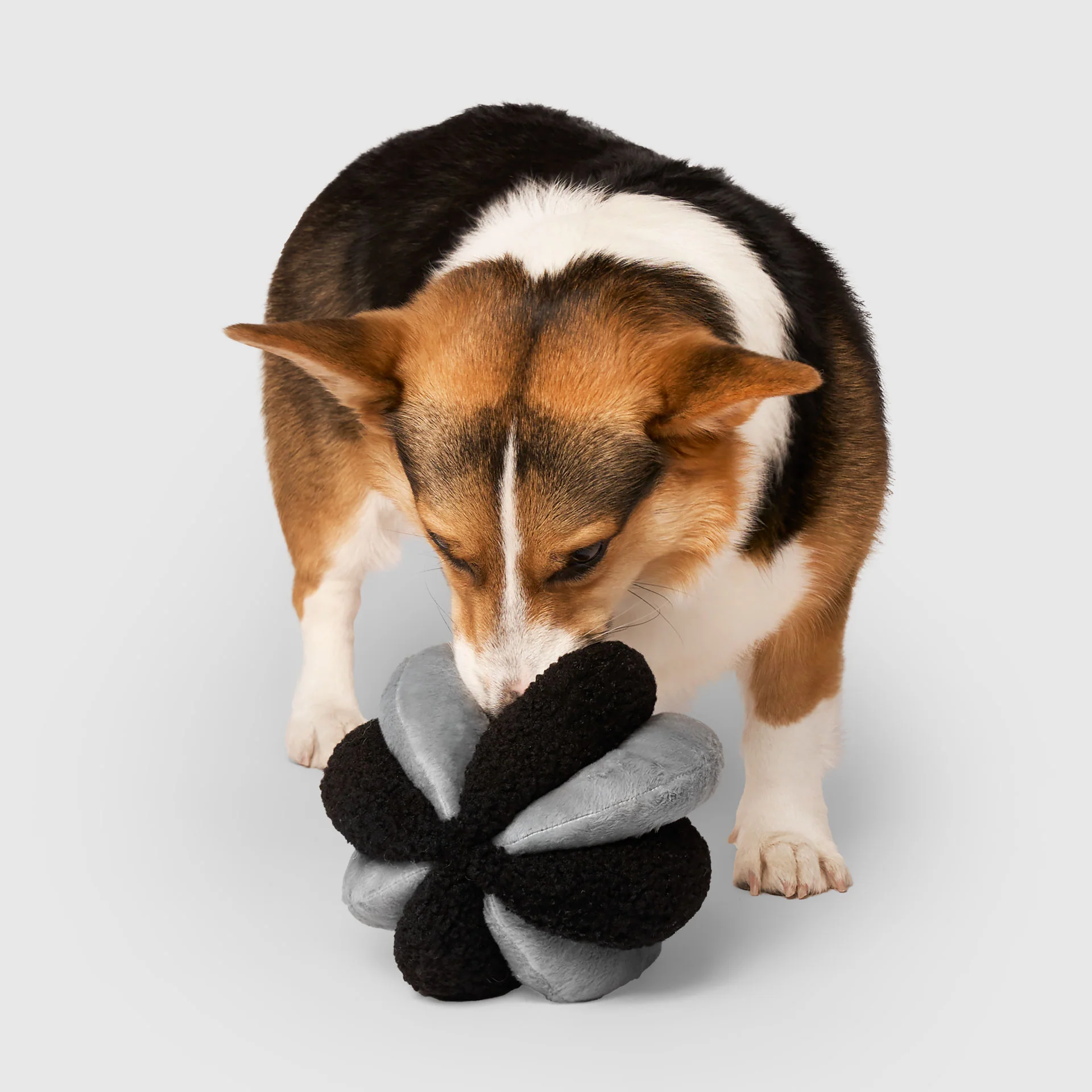 Snuffle Ball Toy - Image 10