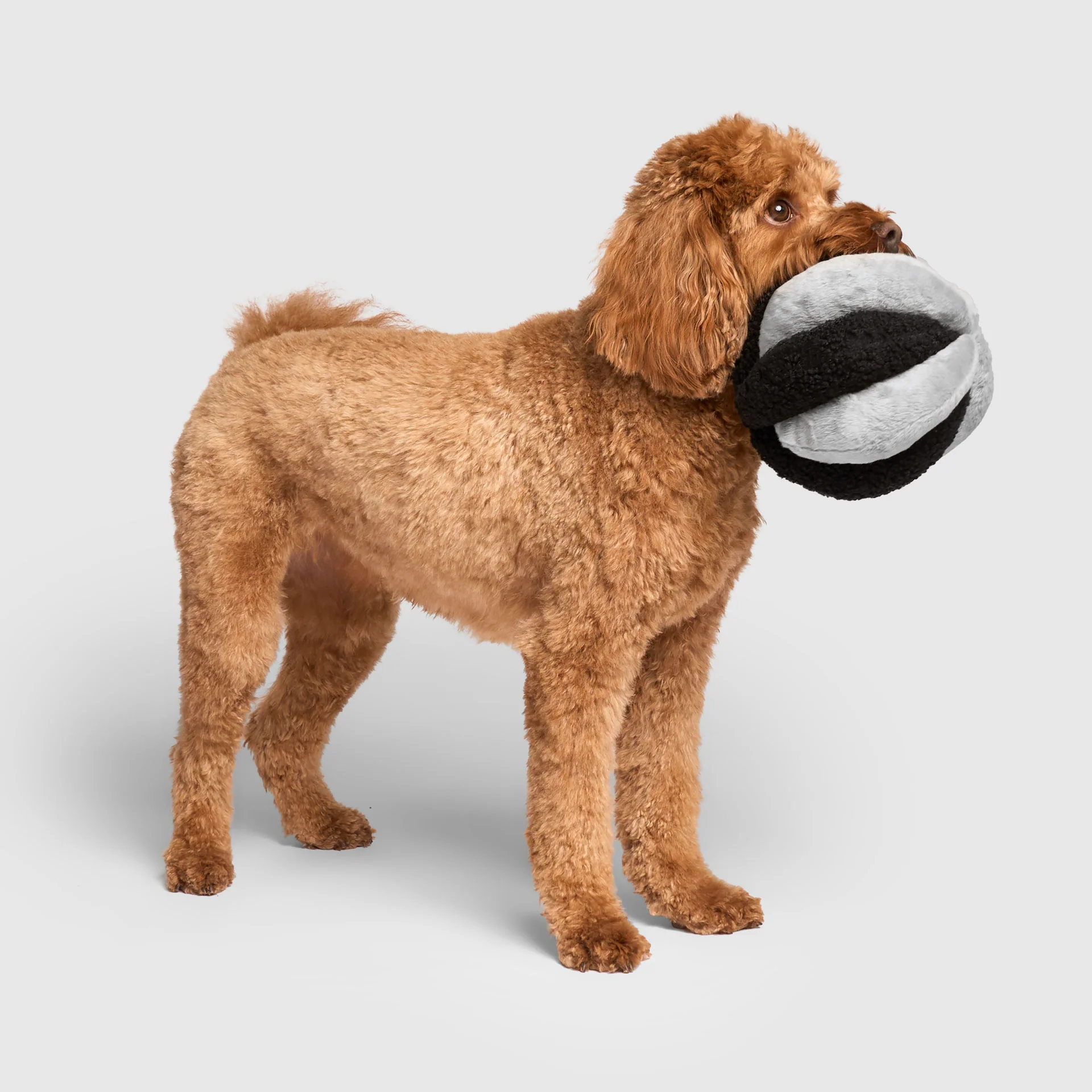 Snuffle Ball Toy - Image 11