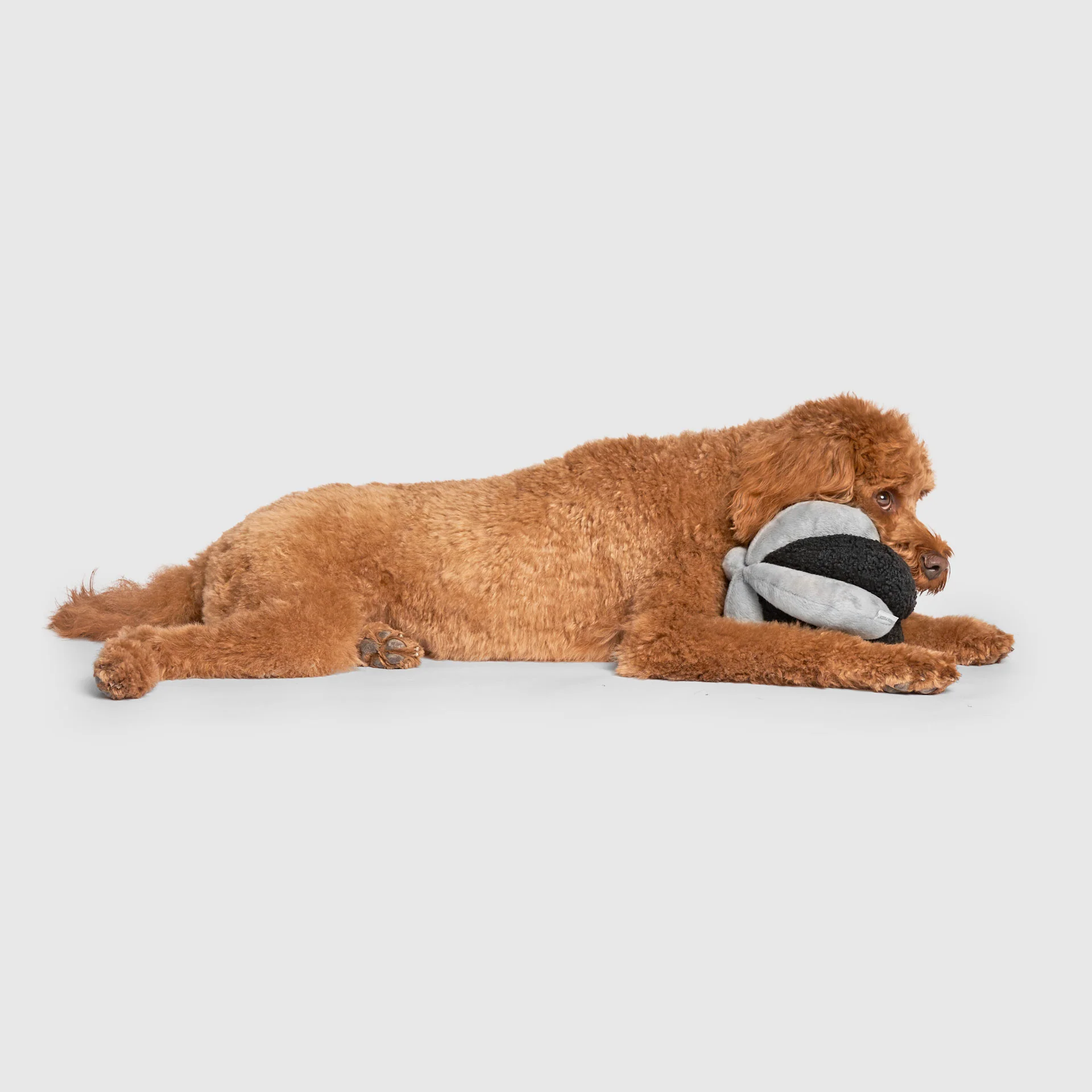 Snuffle Ball Toy - Image 12