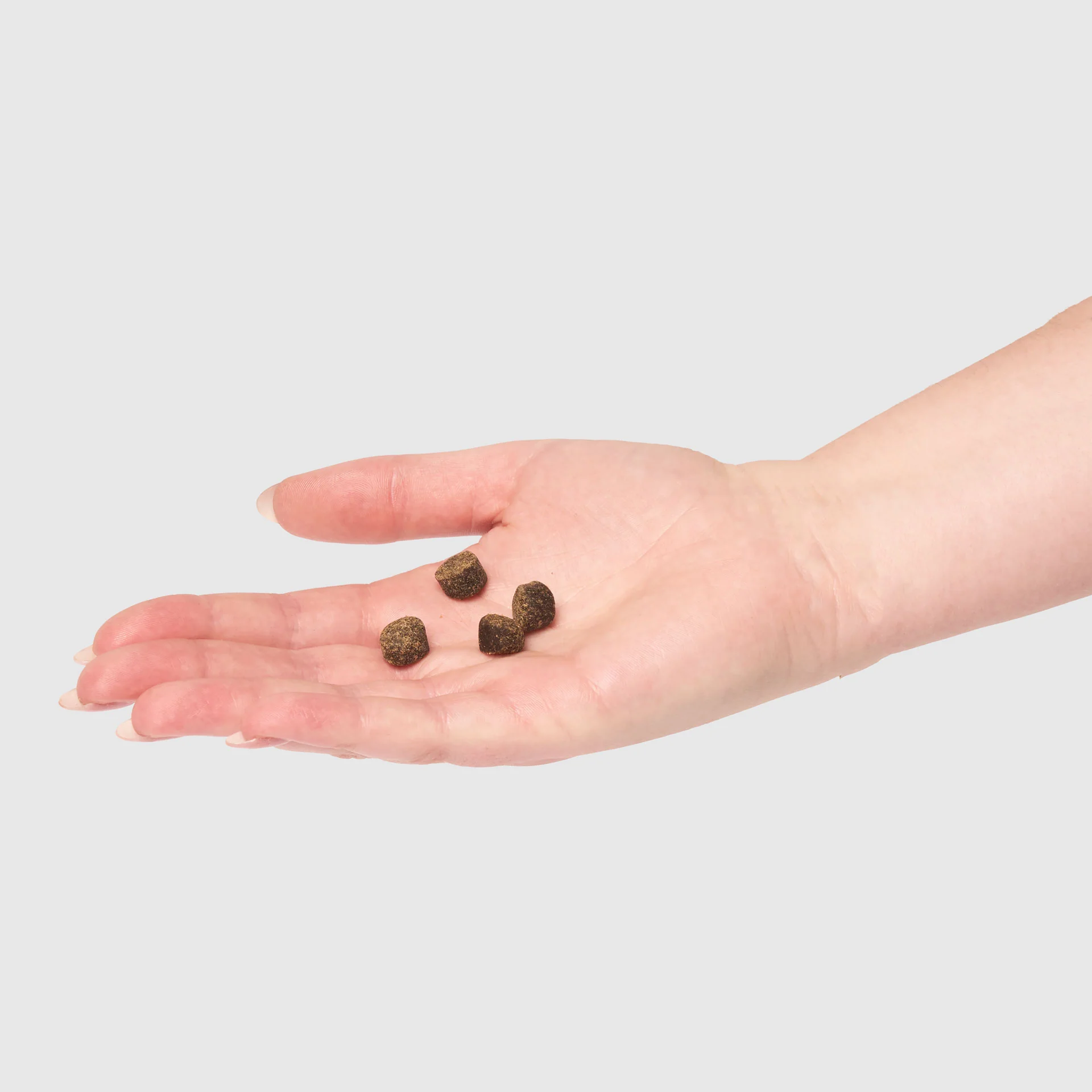 Snuffle Ball Toy - Image 5