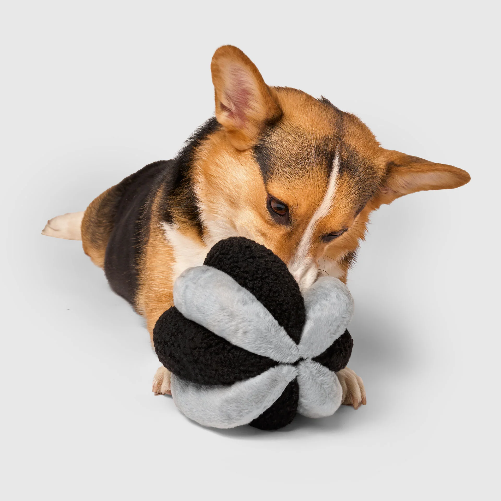 Snuffle Ball Toy - Image 7