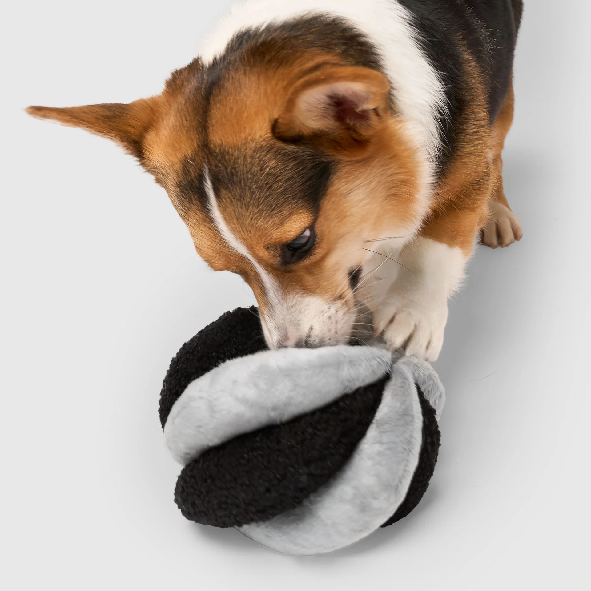 Snuffle Ball Toy - Image 8