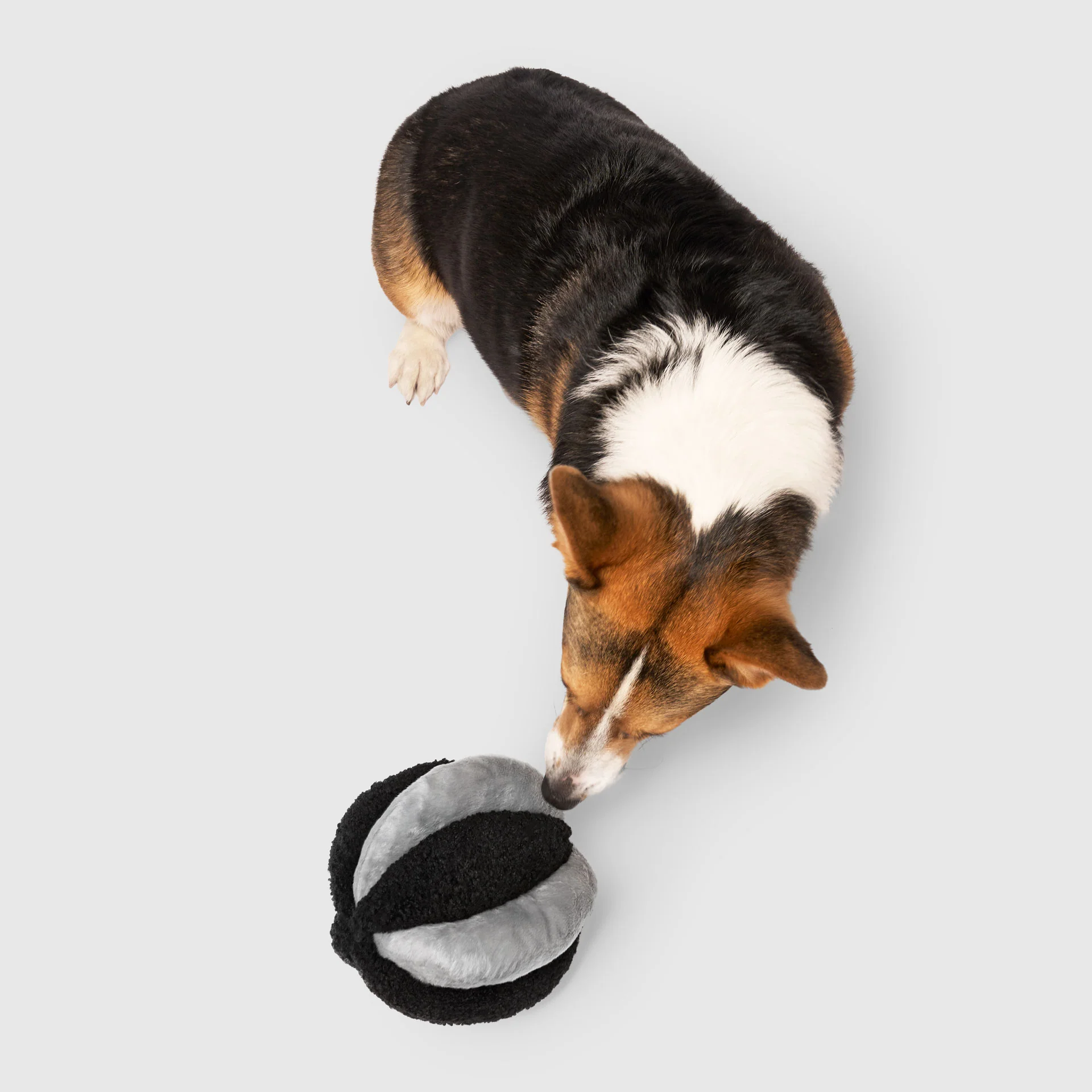 Snuffle Ball Toy - Image 9