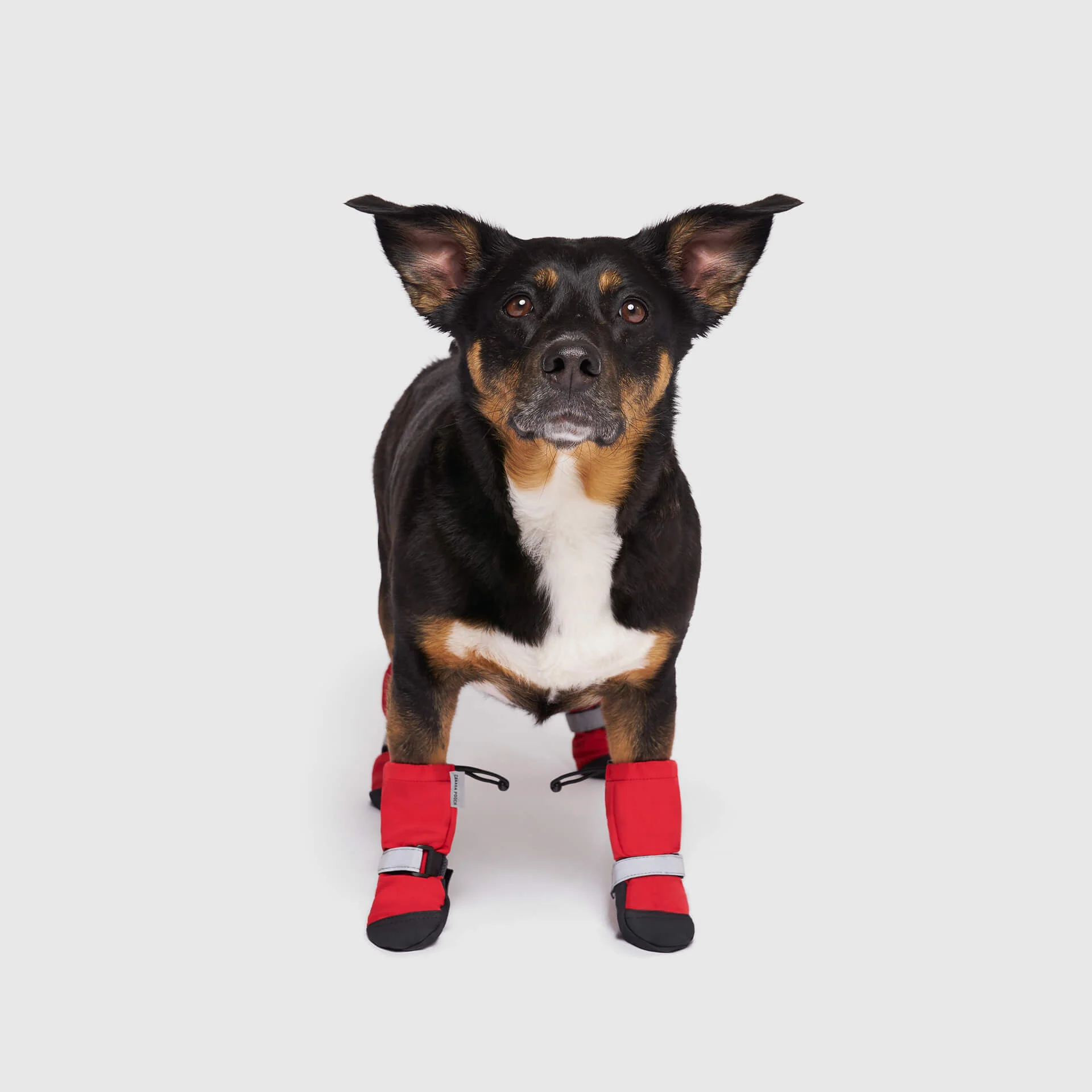 Soft Shield Boots - Image 13