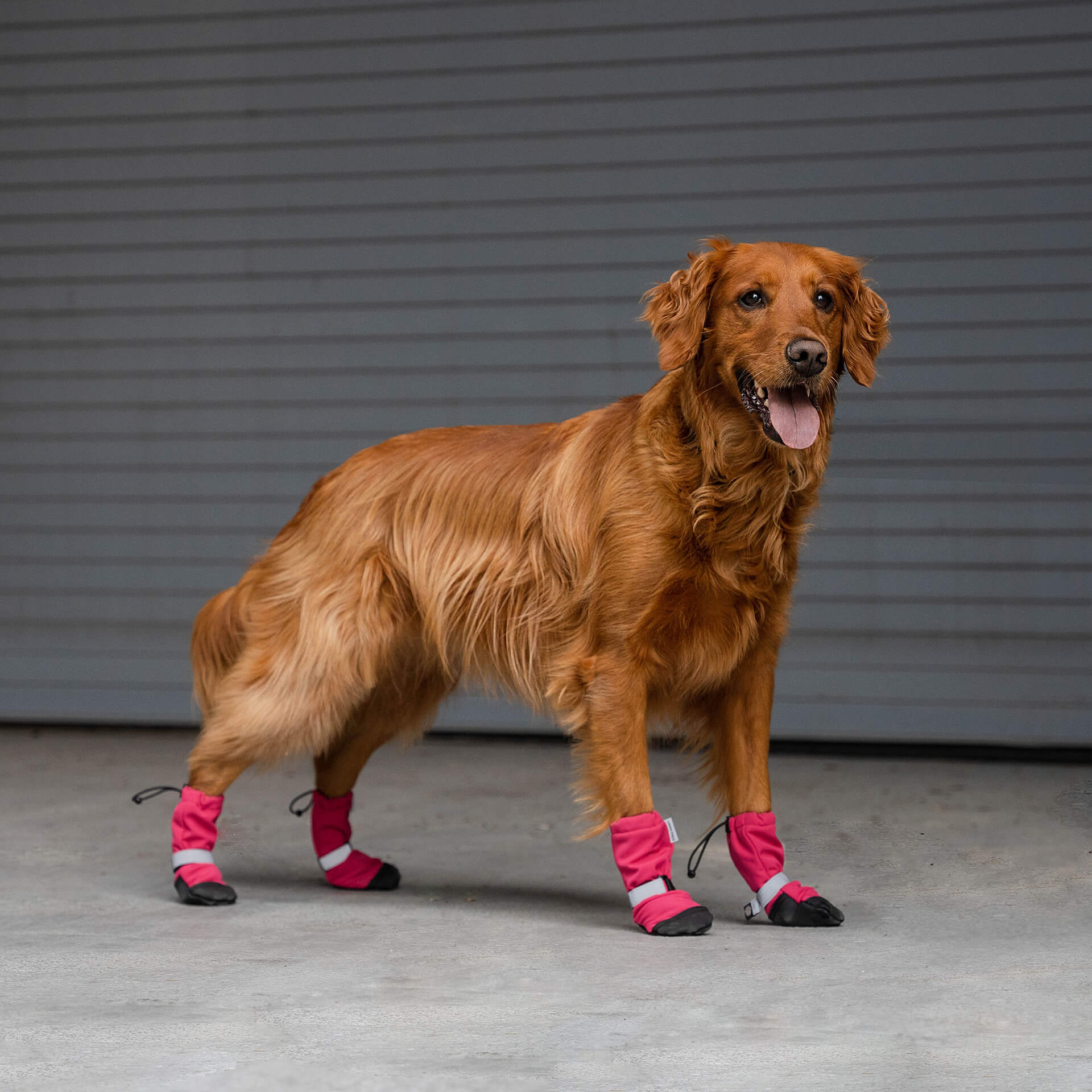 Soft Shield Boots - Image 30