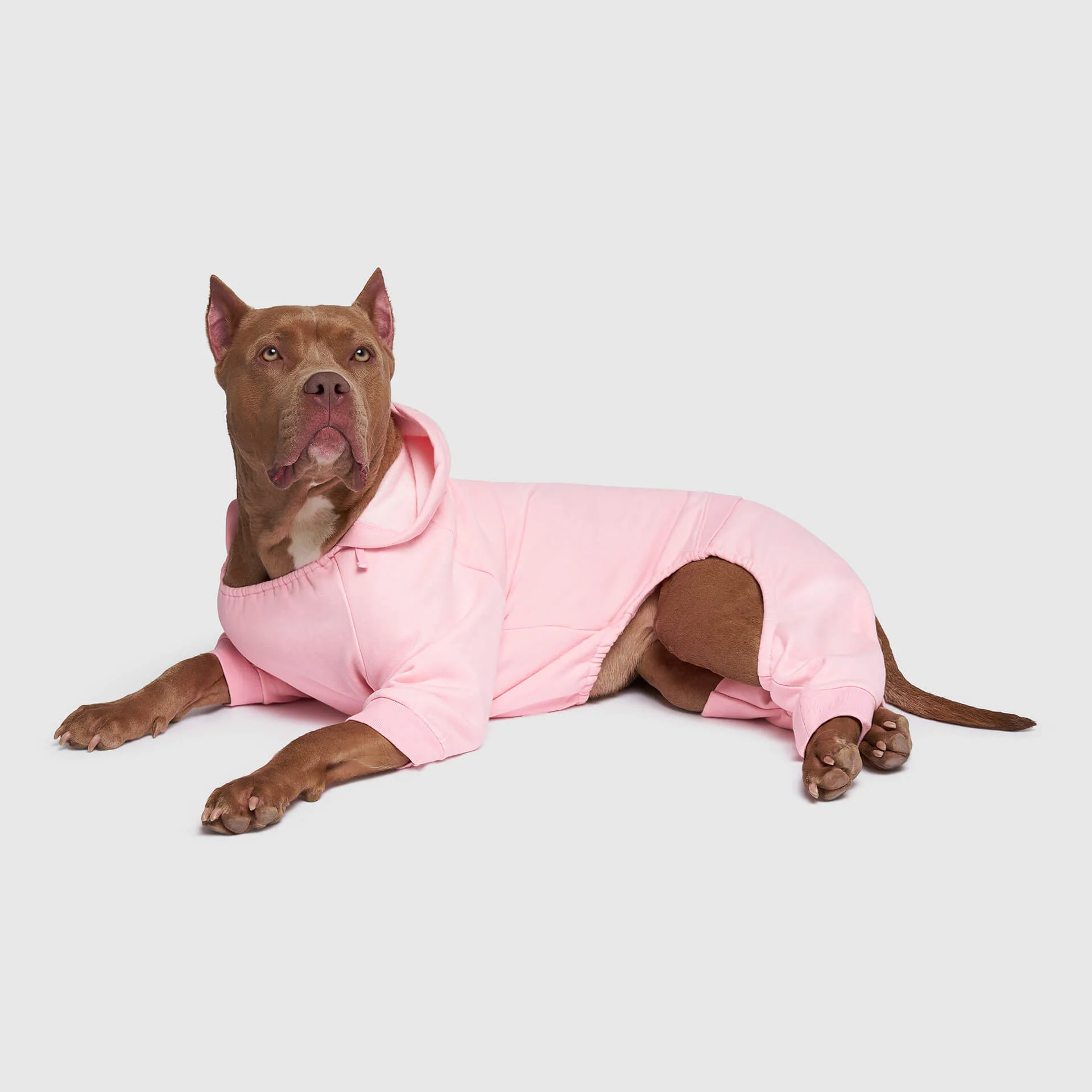 Soft Side Sweatsuit - Image 3