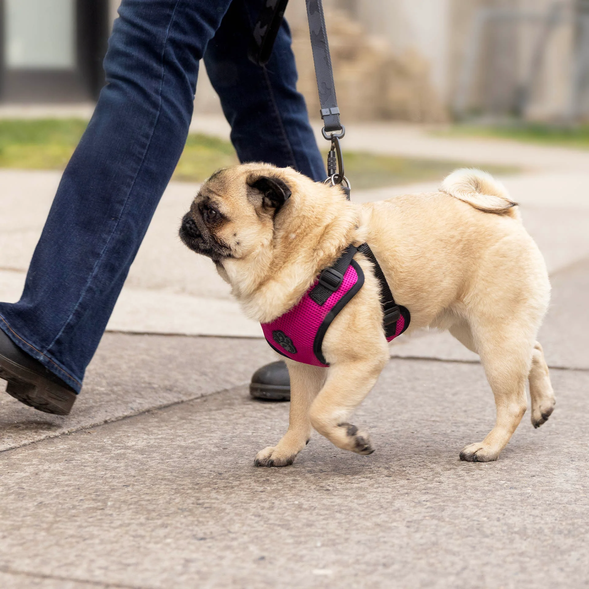 Easy-On Step-In Harness - Image 12