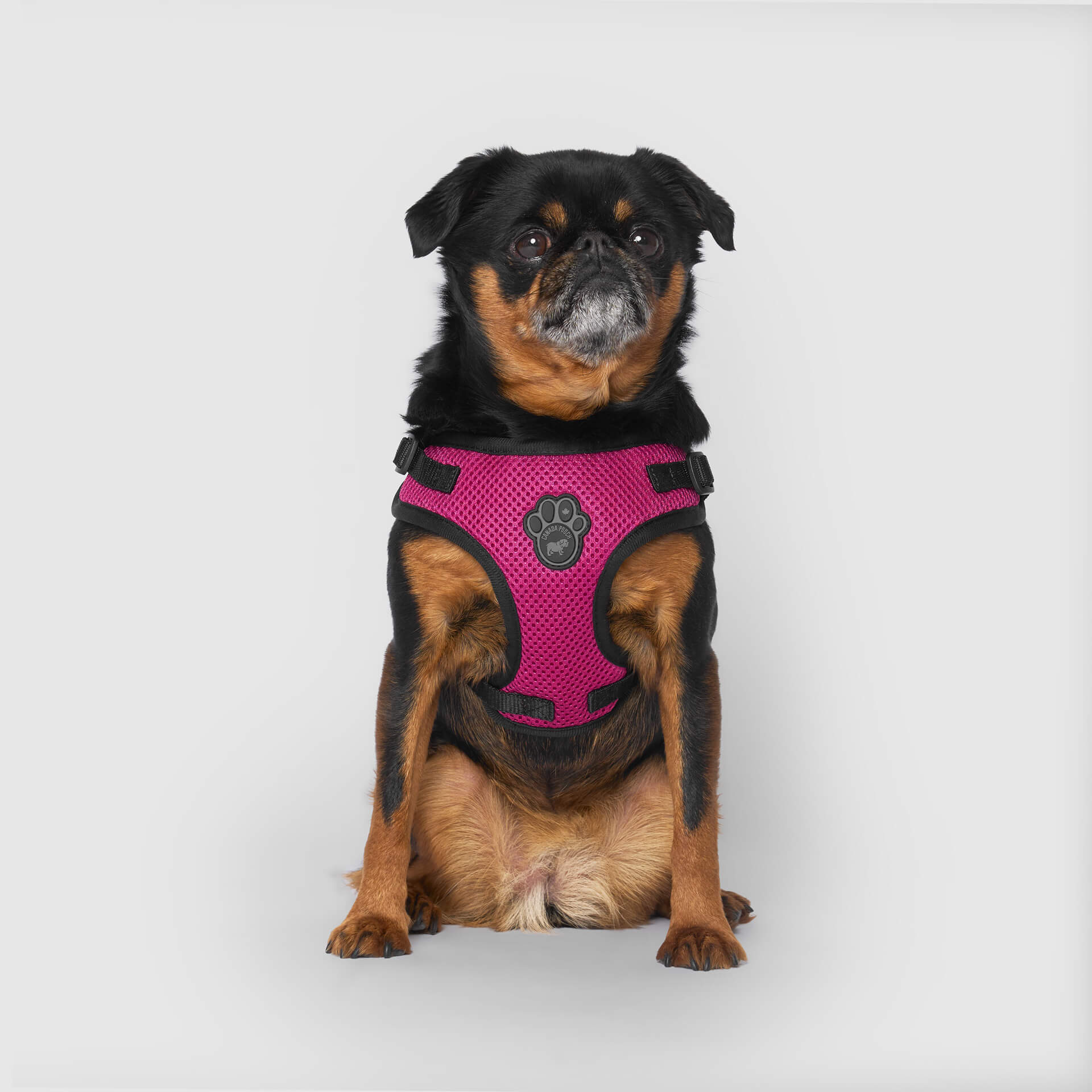 Easy-On Step-In Harness - Image 13