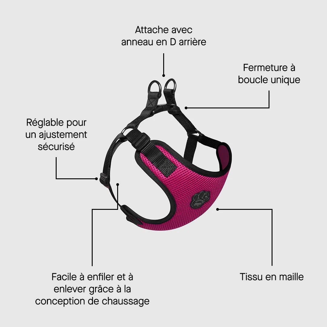 Easy-On Step-In Harness - Image 16