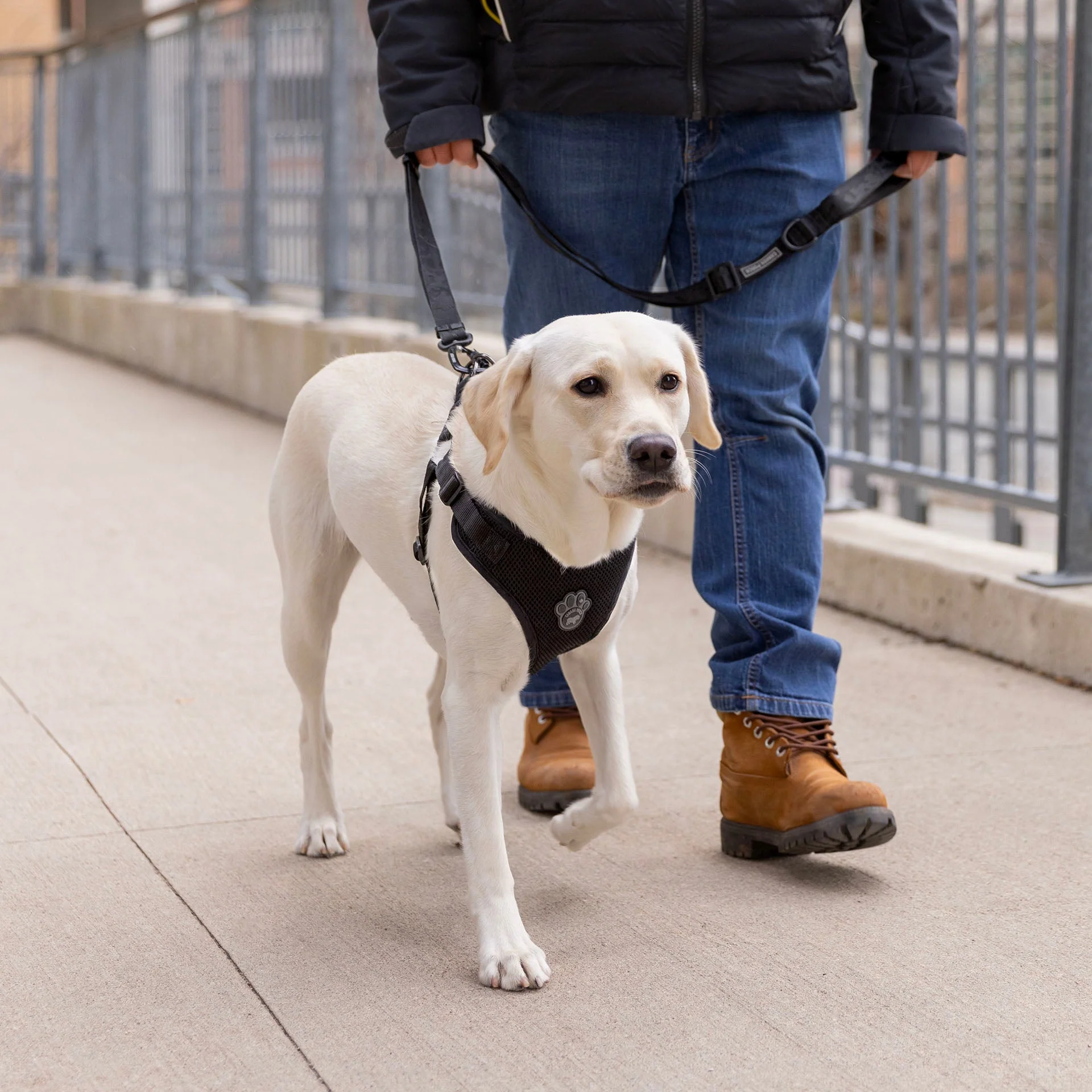 Easy-On Step-In Harness - Image 4