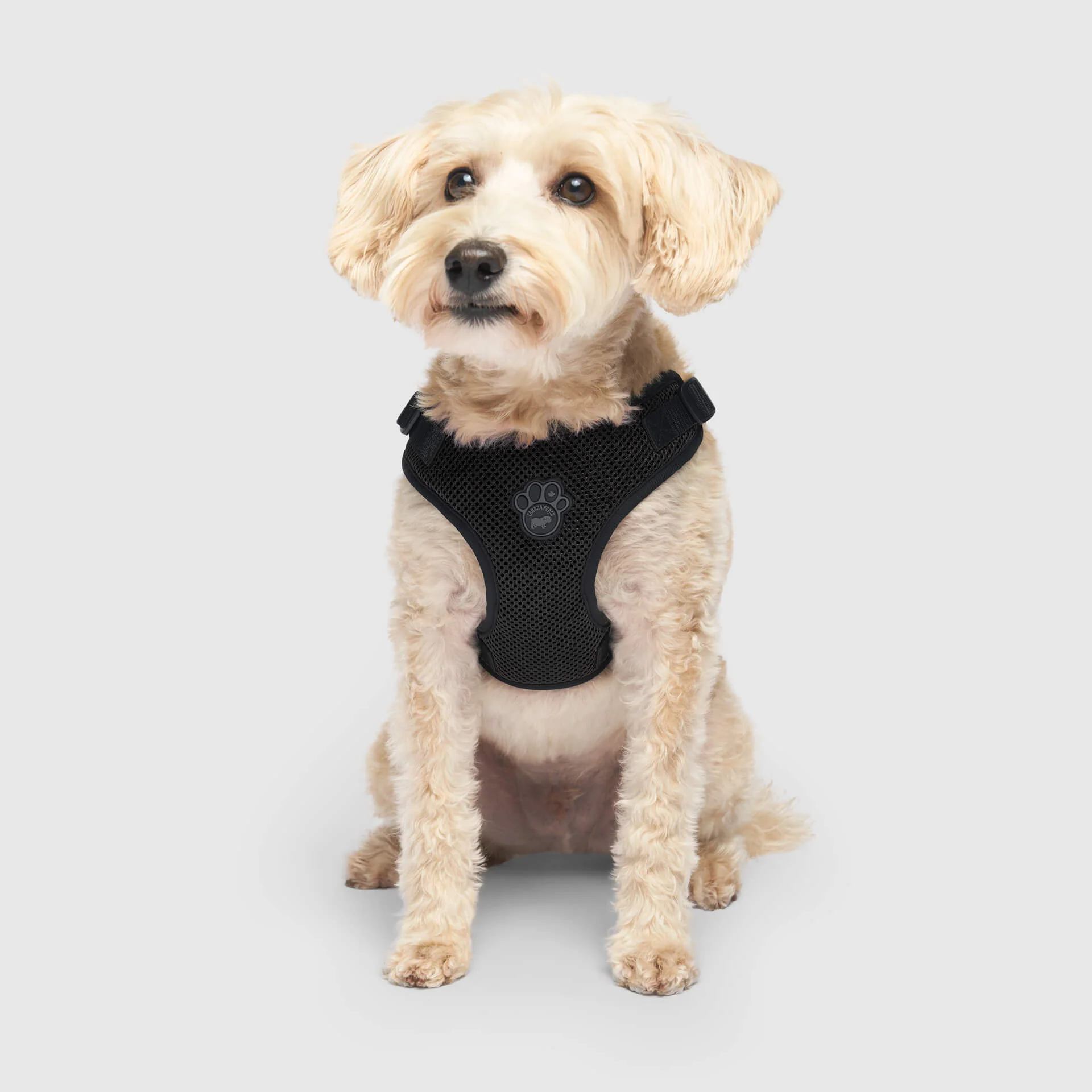 Easy-On Step-In Harness - Image 5