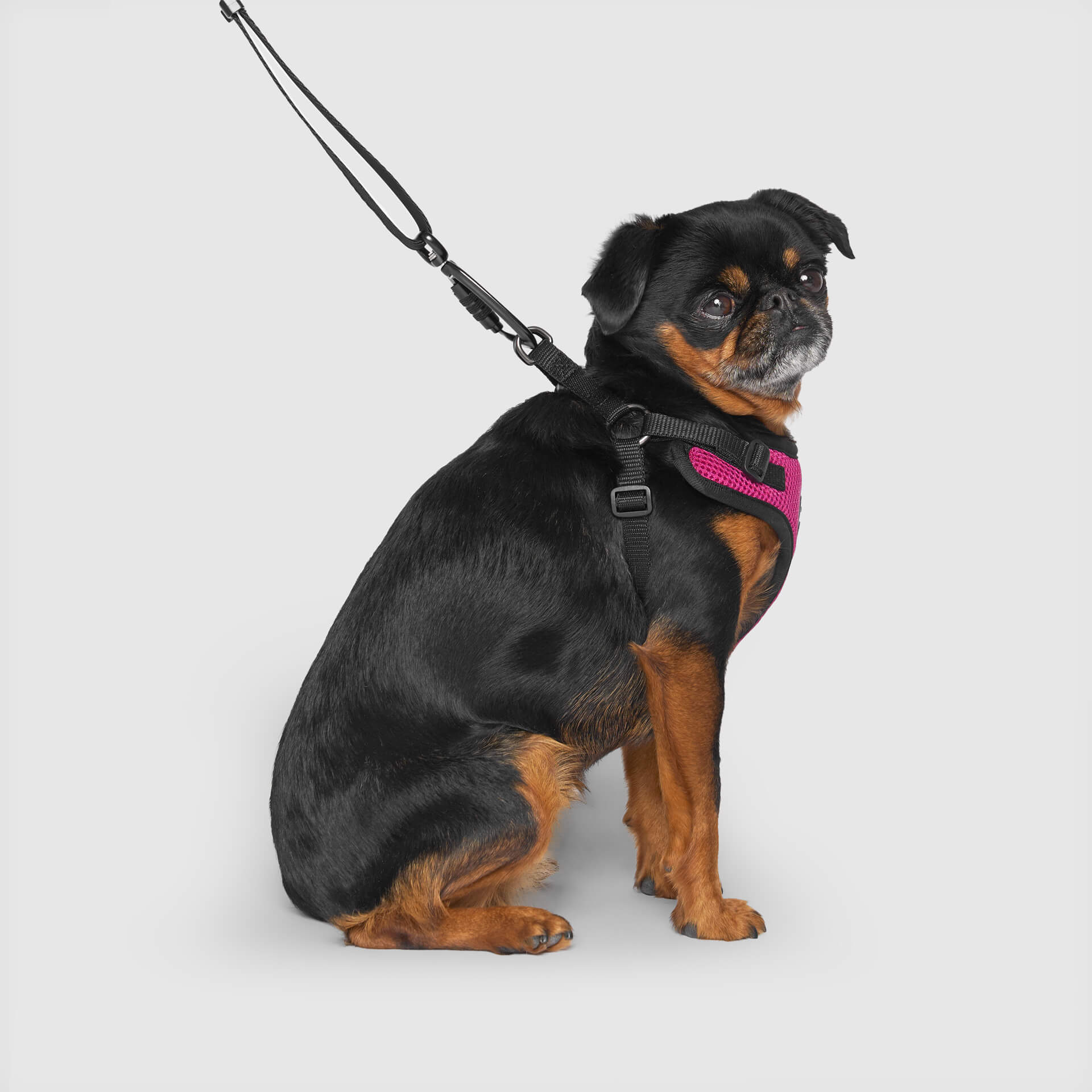 Easy-On Step-In Harness - Image 9