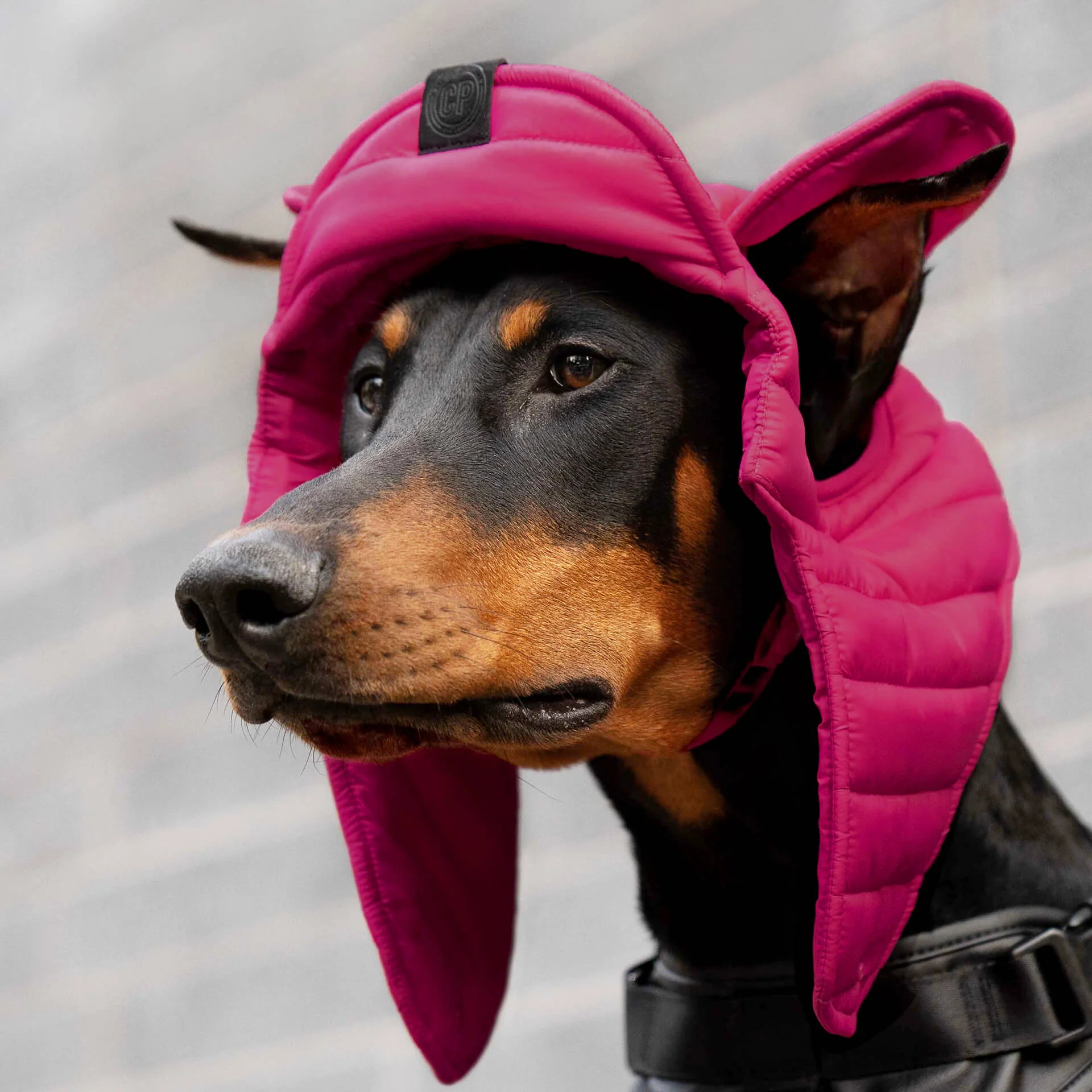 Puffer Hat - Image 5