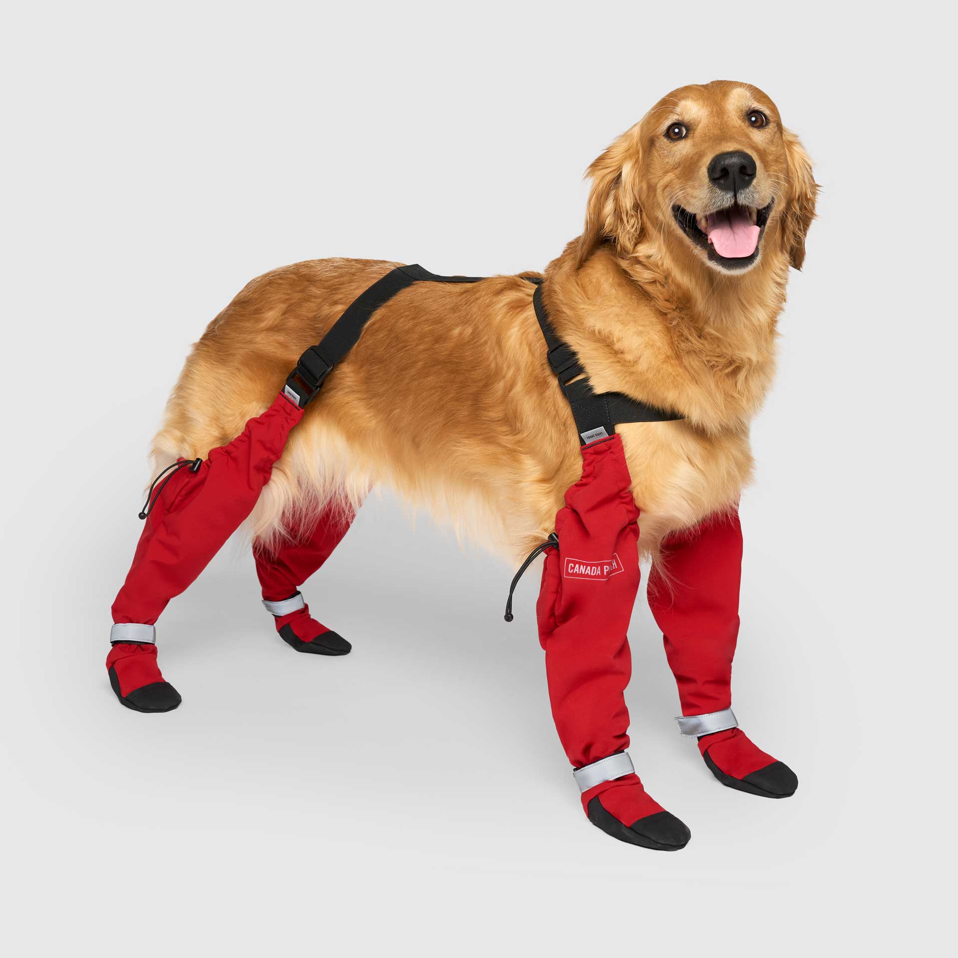 Suspender Boots - Image 13