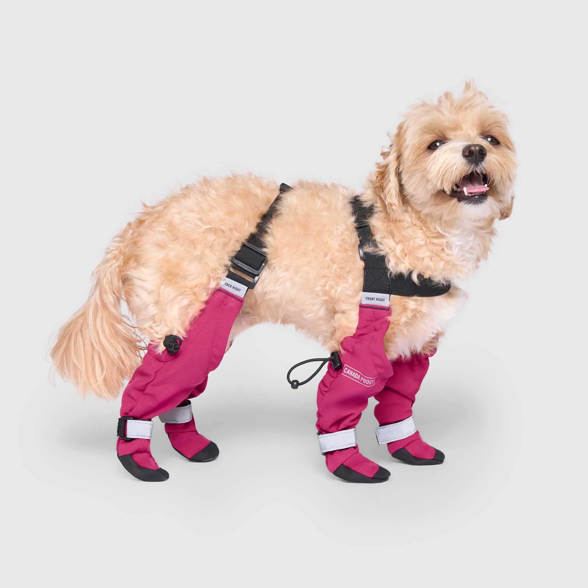 Suspender Boots - Image 23