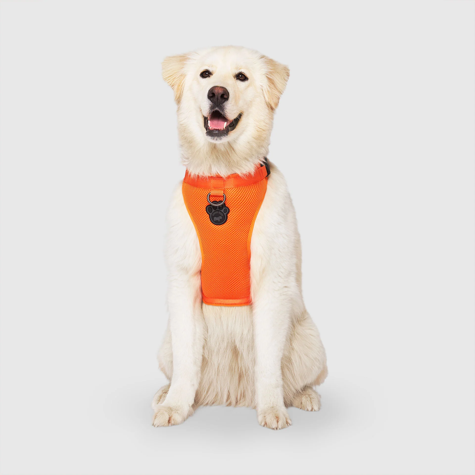 The Everything Harness Mesh Series - Image 10