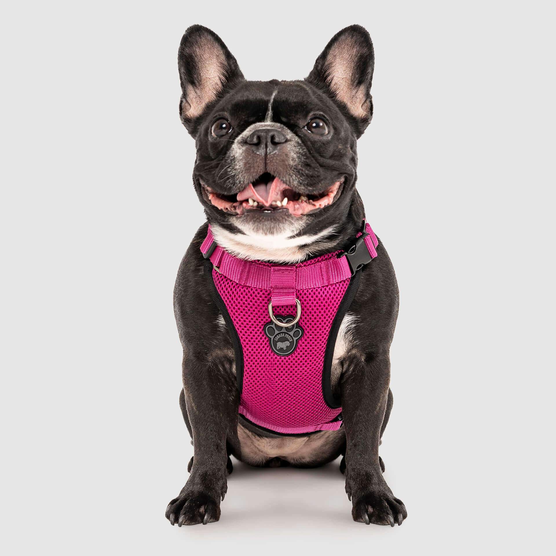 The Everything Harness Mesh Series - Image 18