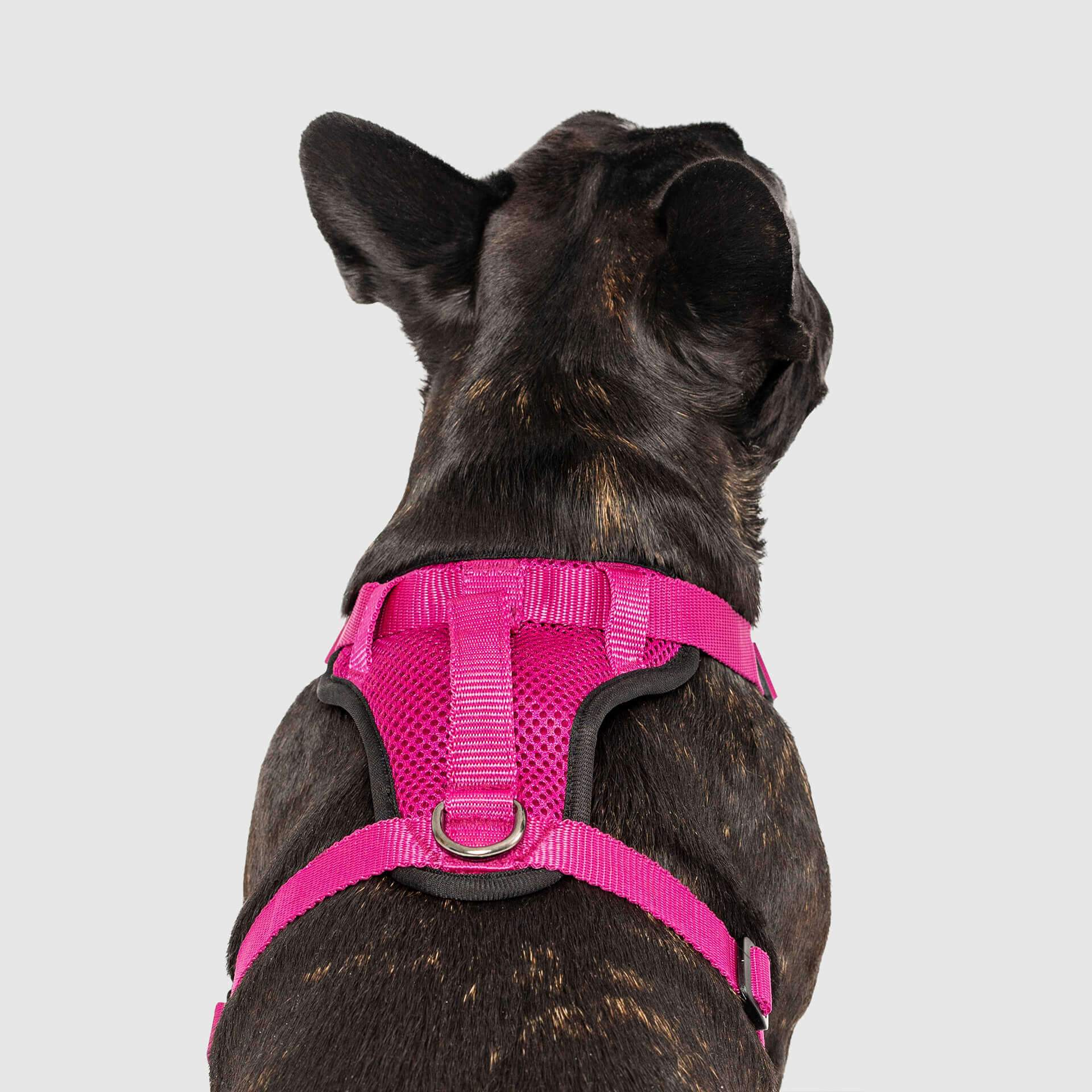 The Everything Harness Mesh Series - Image 22