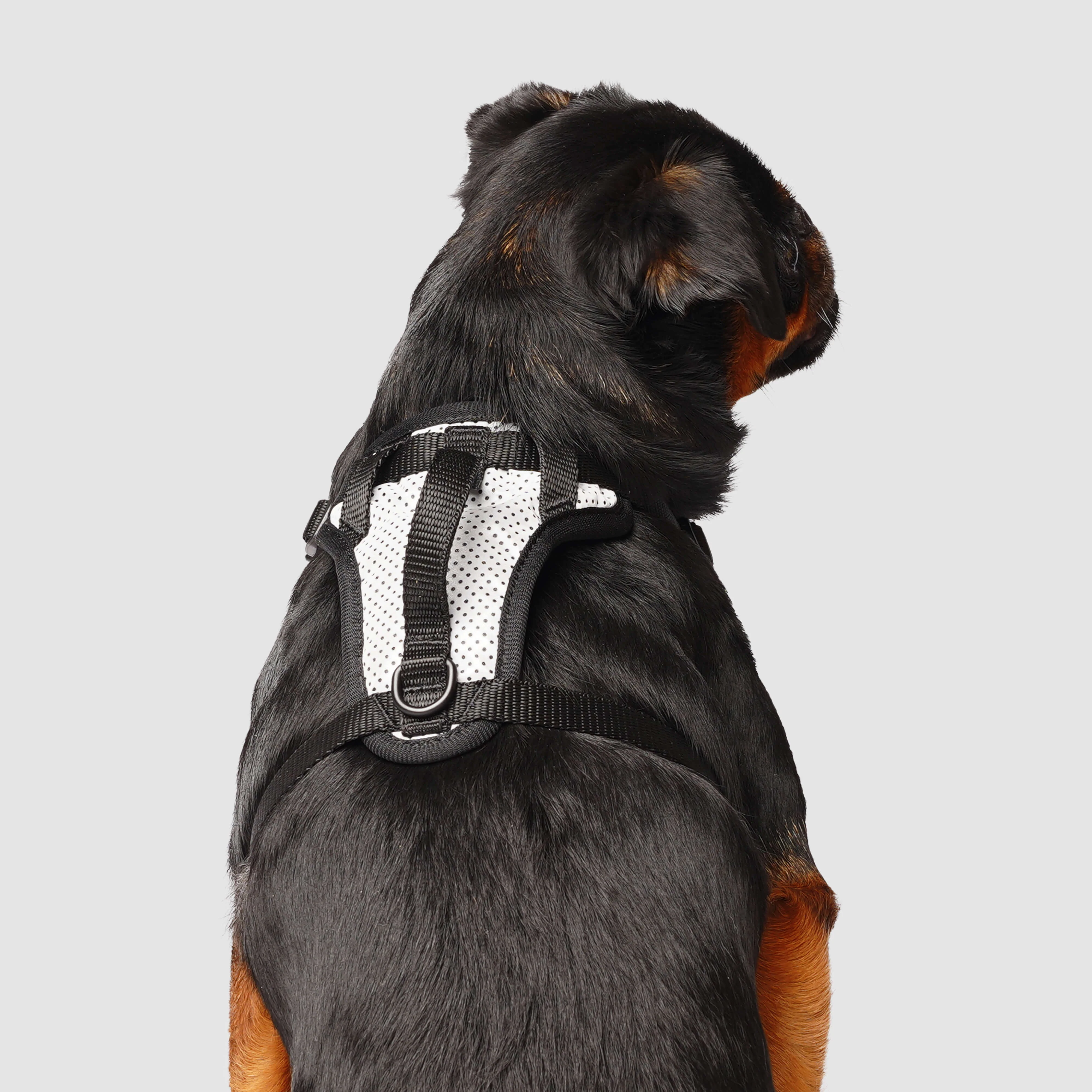 The Everything Harness Mesh Series - Image 7