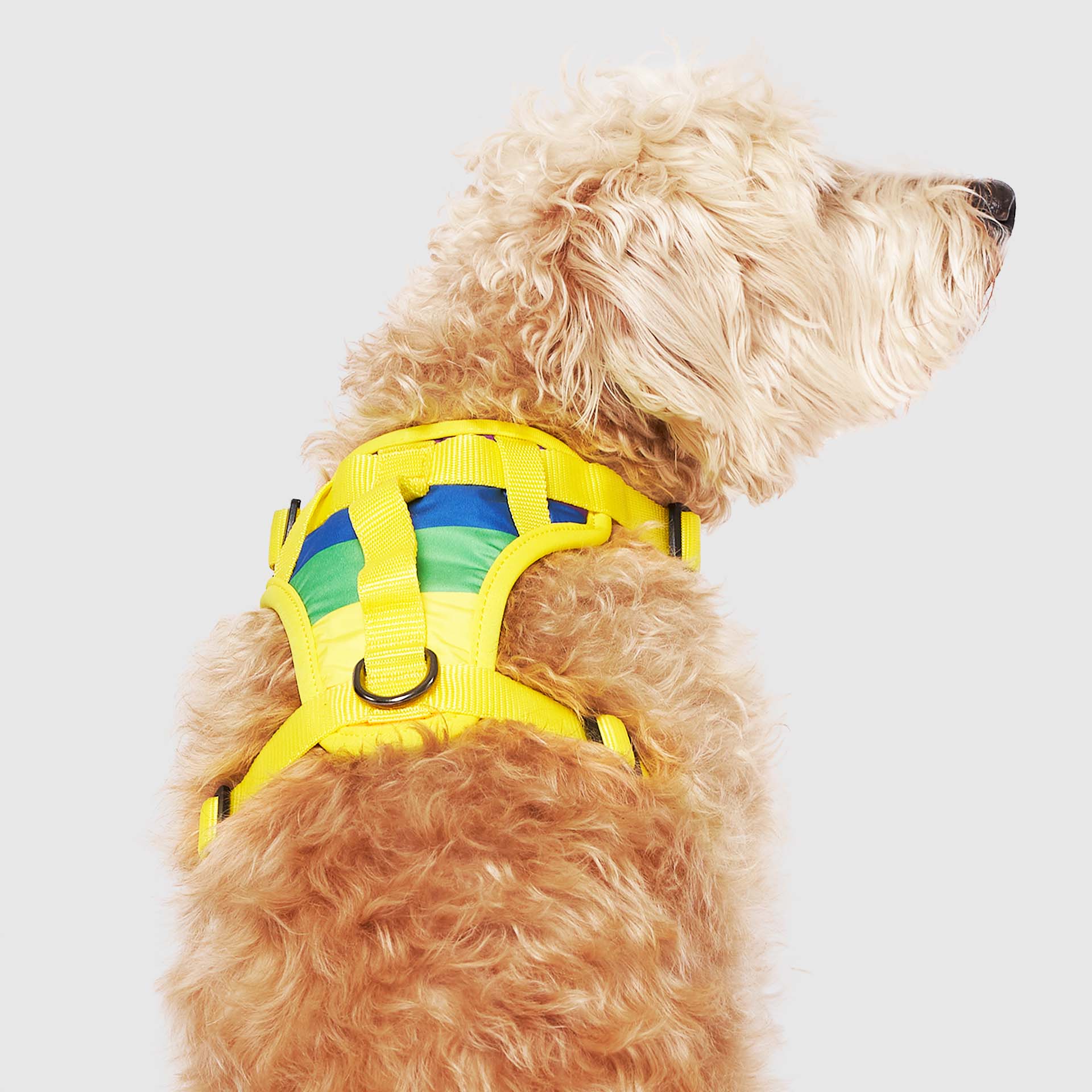 The Everything Harness Water-Resistant Series - Image 13