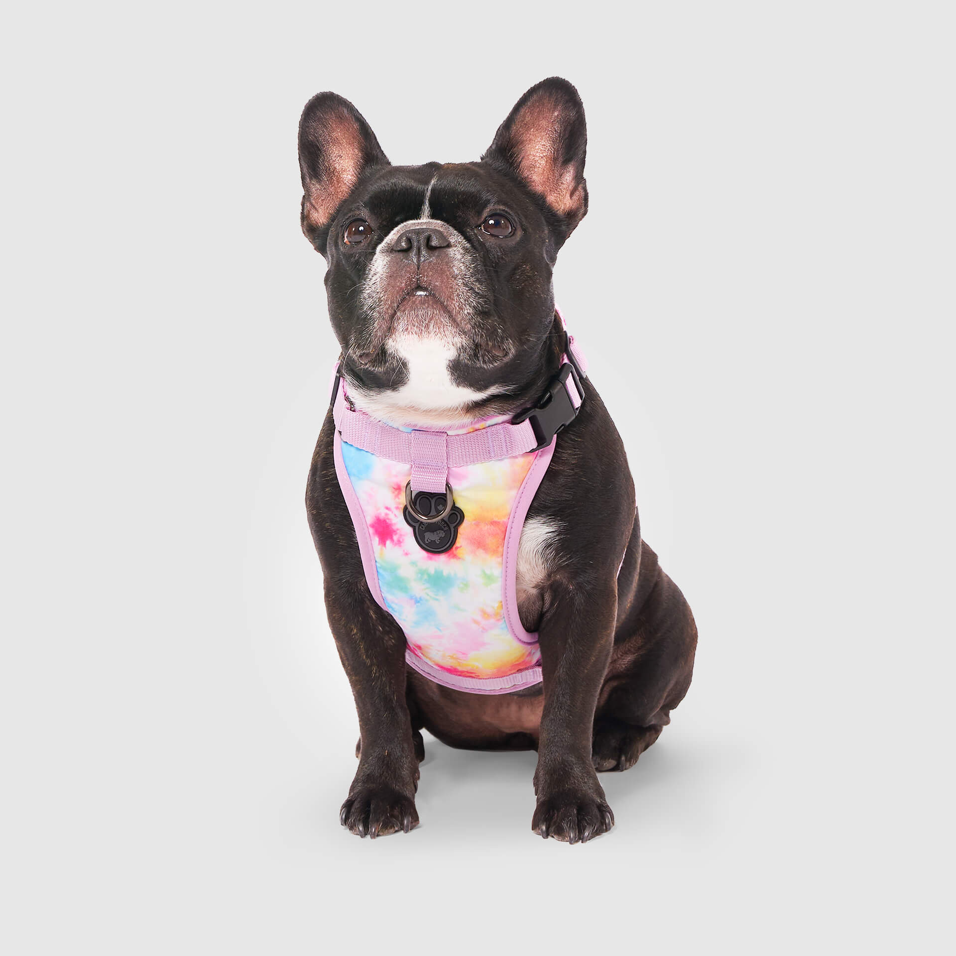 The Everything Harness Water-Resistant Series - Image 16