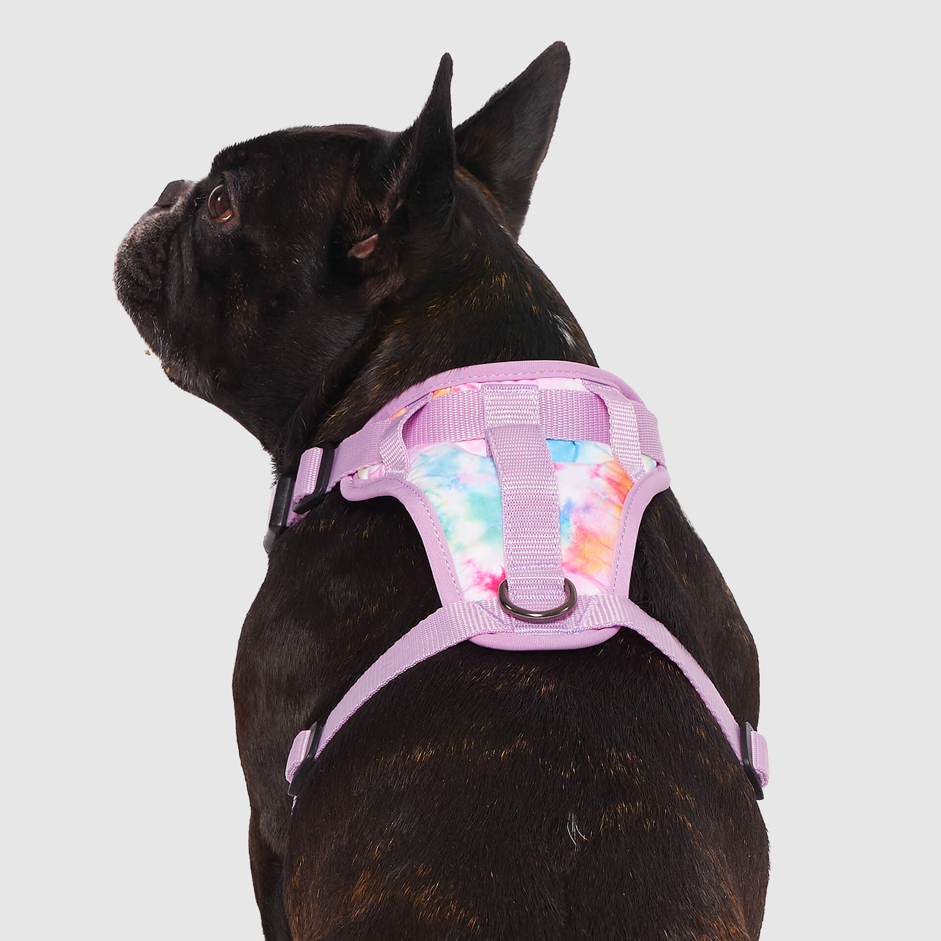 The Everything Harness Water-Resistant Series - Image 18