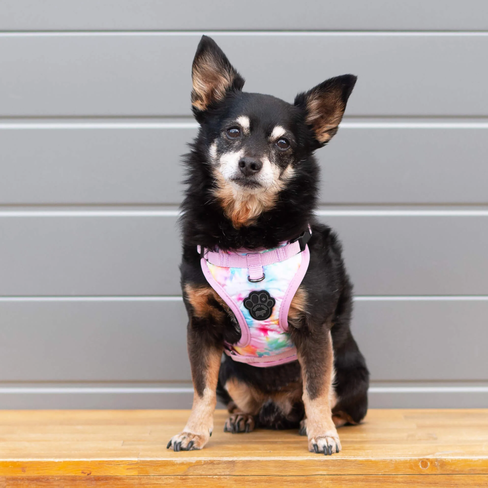 The Everything Harness Water-Resistant Series - Image 20
