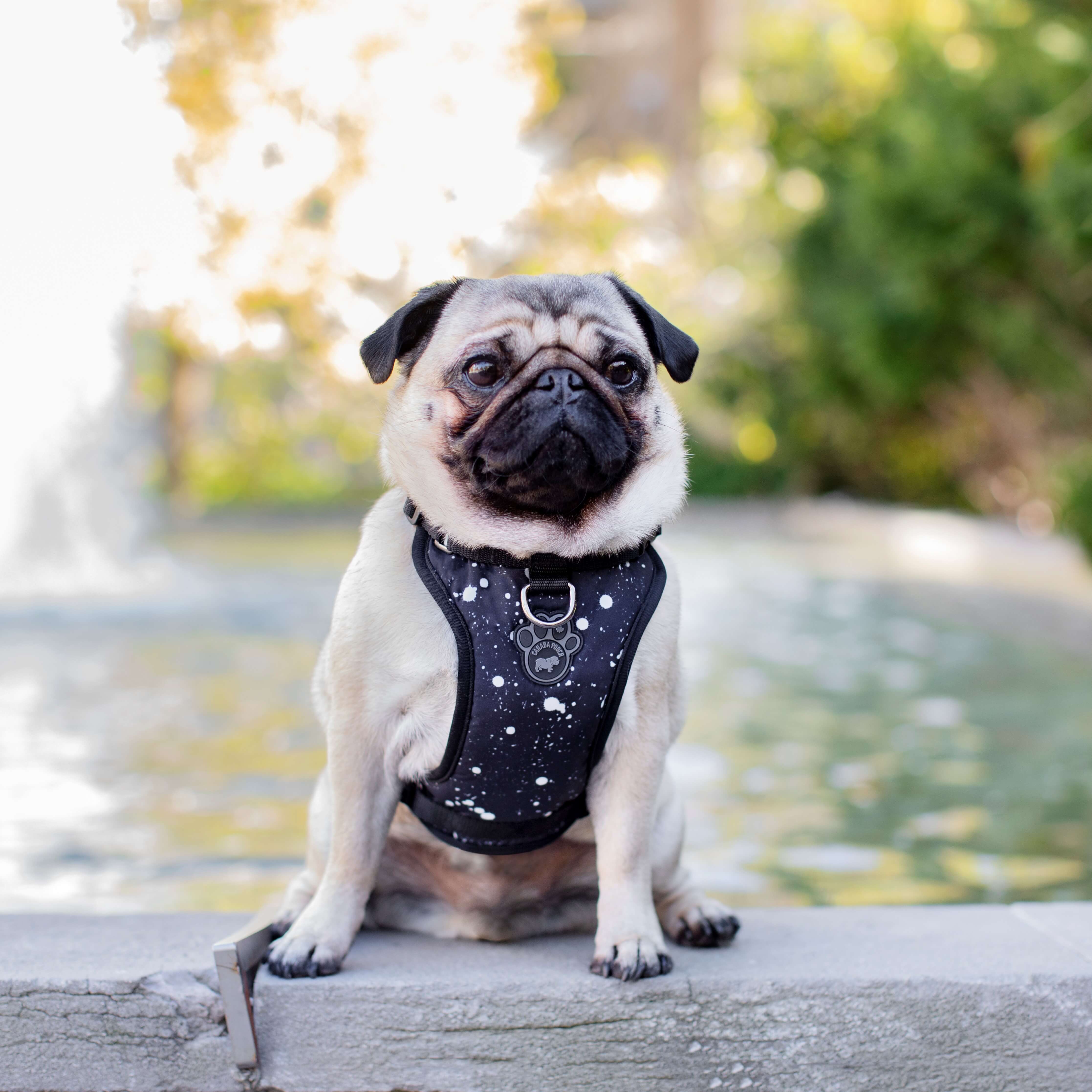 The Everything Harness Water-Resistant Series - Image 5