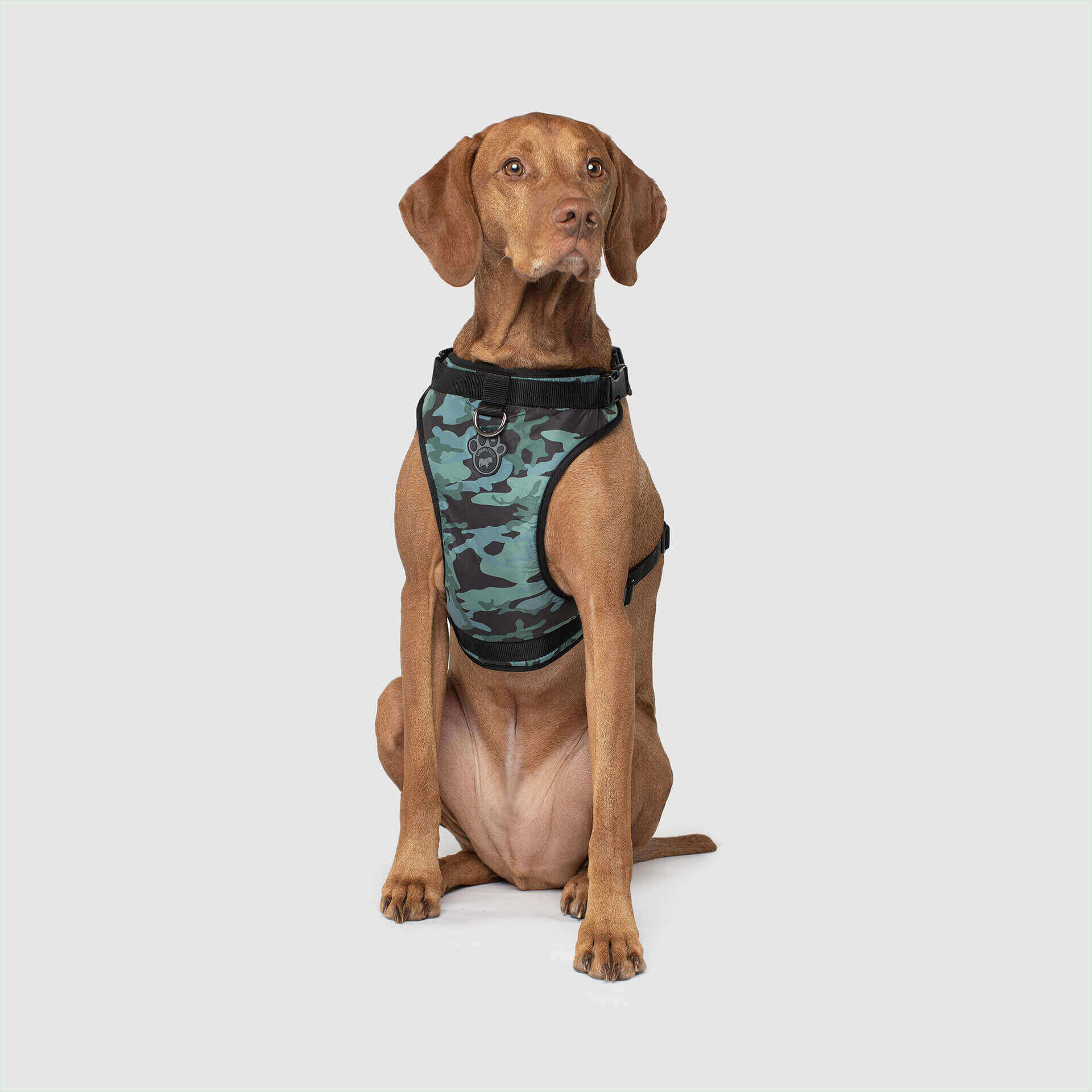 The Everything Harness Water-Resistant Series - Image 6