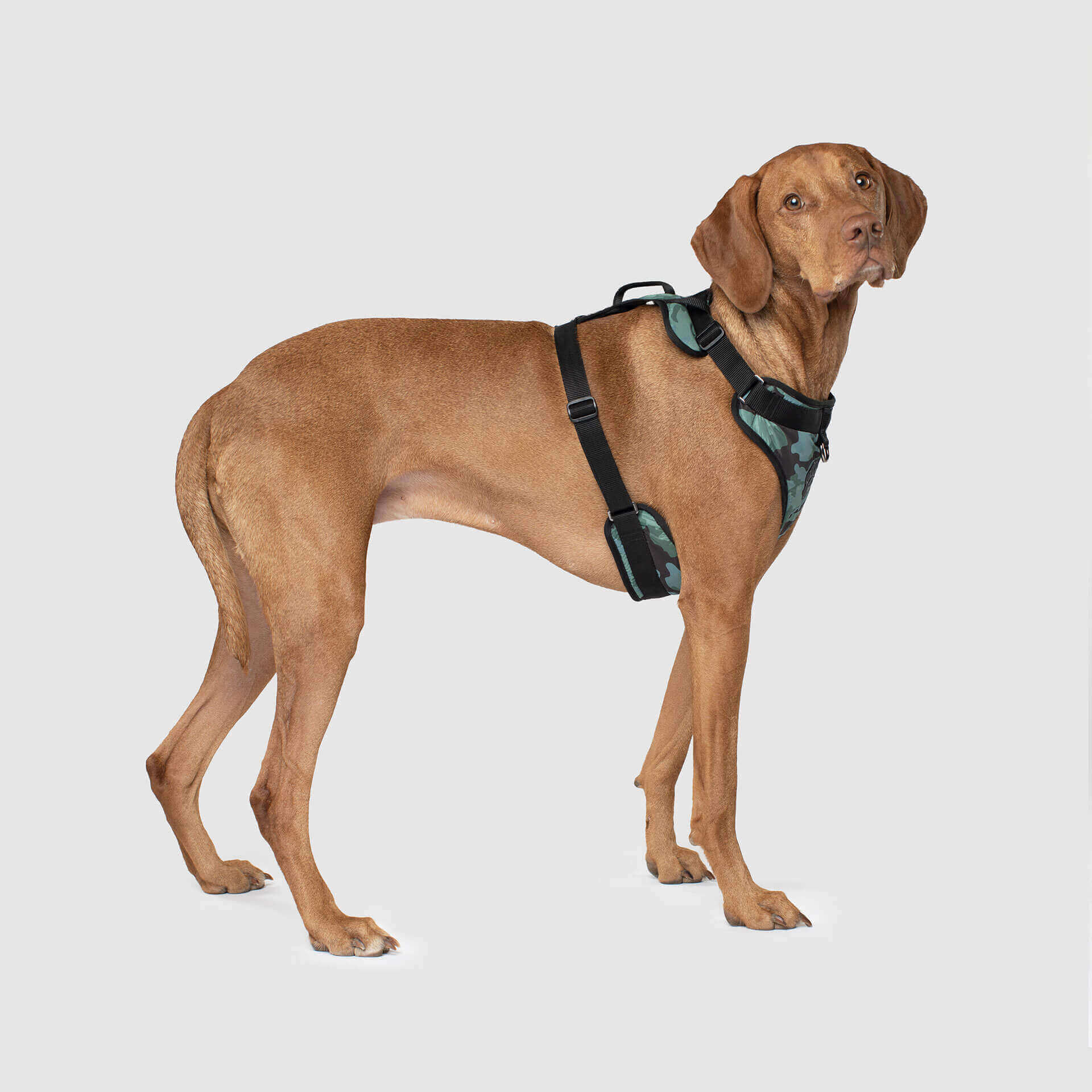 The Everything Harness Water-Resistant Series - Image 7