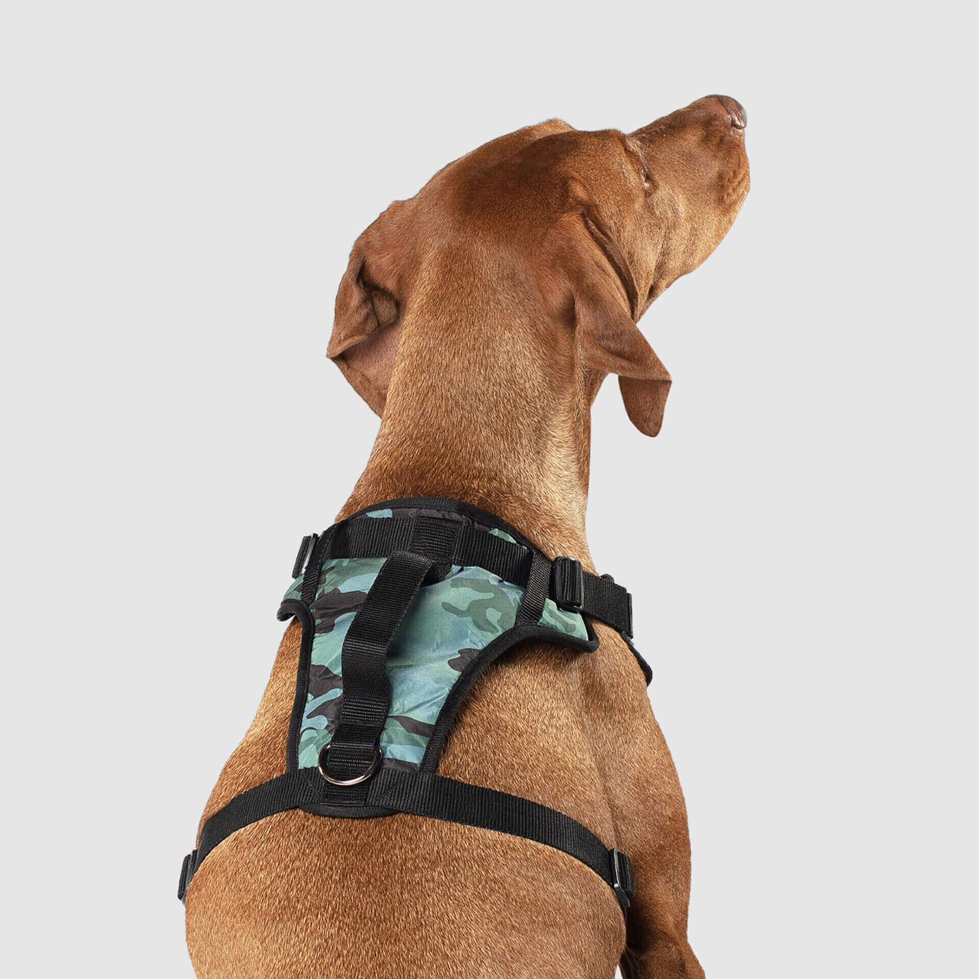The Everything Harness Water-Resistant Series - Image 8