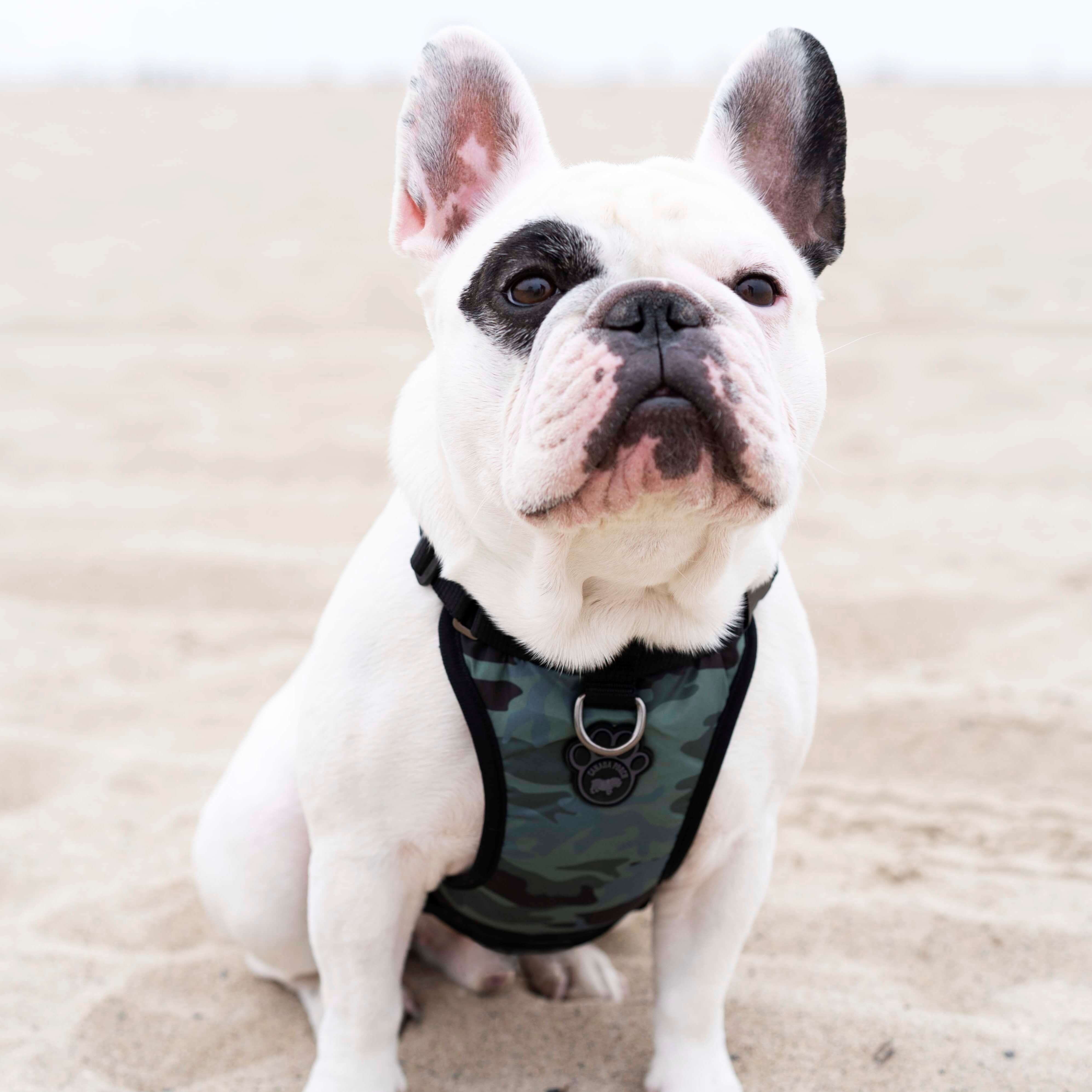 The Everything Harness Water-Resistant Series - Image 9