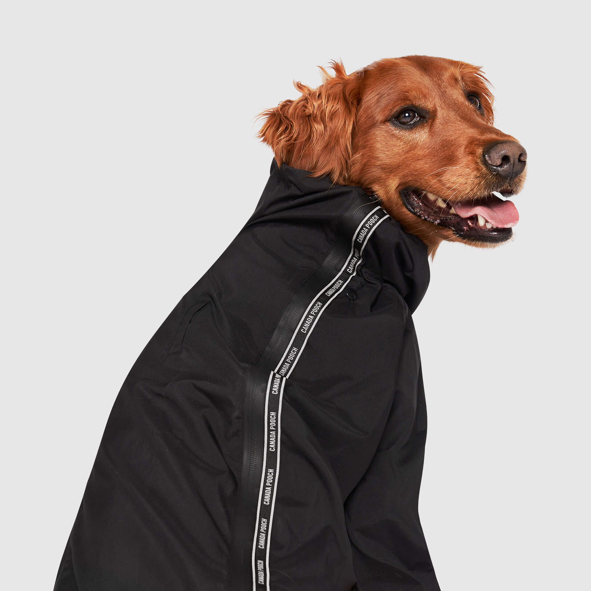The Slush Suit - Image 16