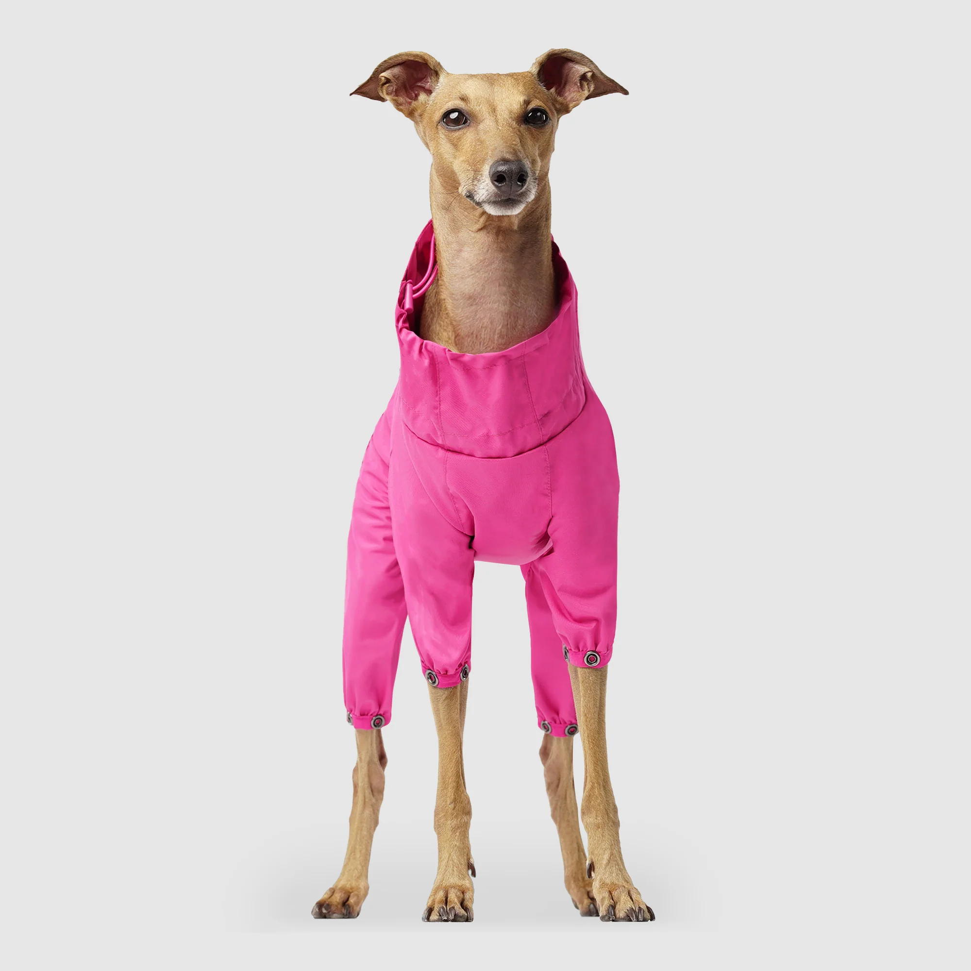 The Slush Suit - Image 26