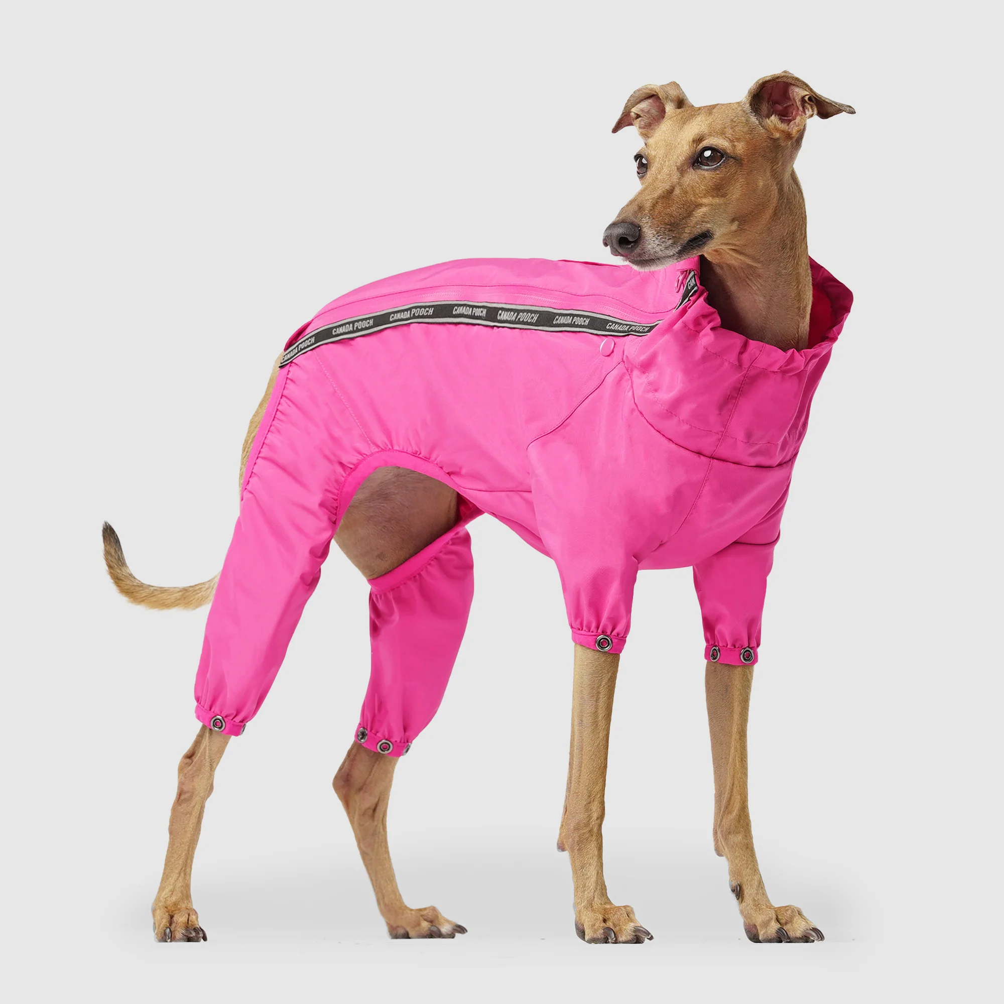 The Slush Suit - Image 27